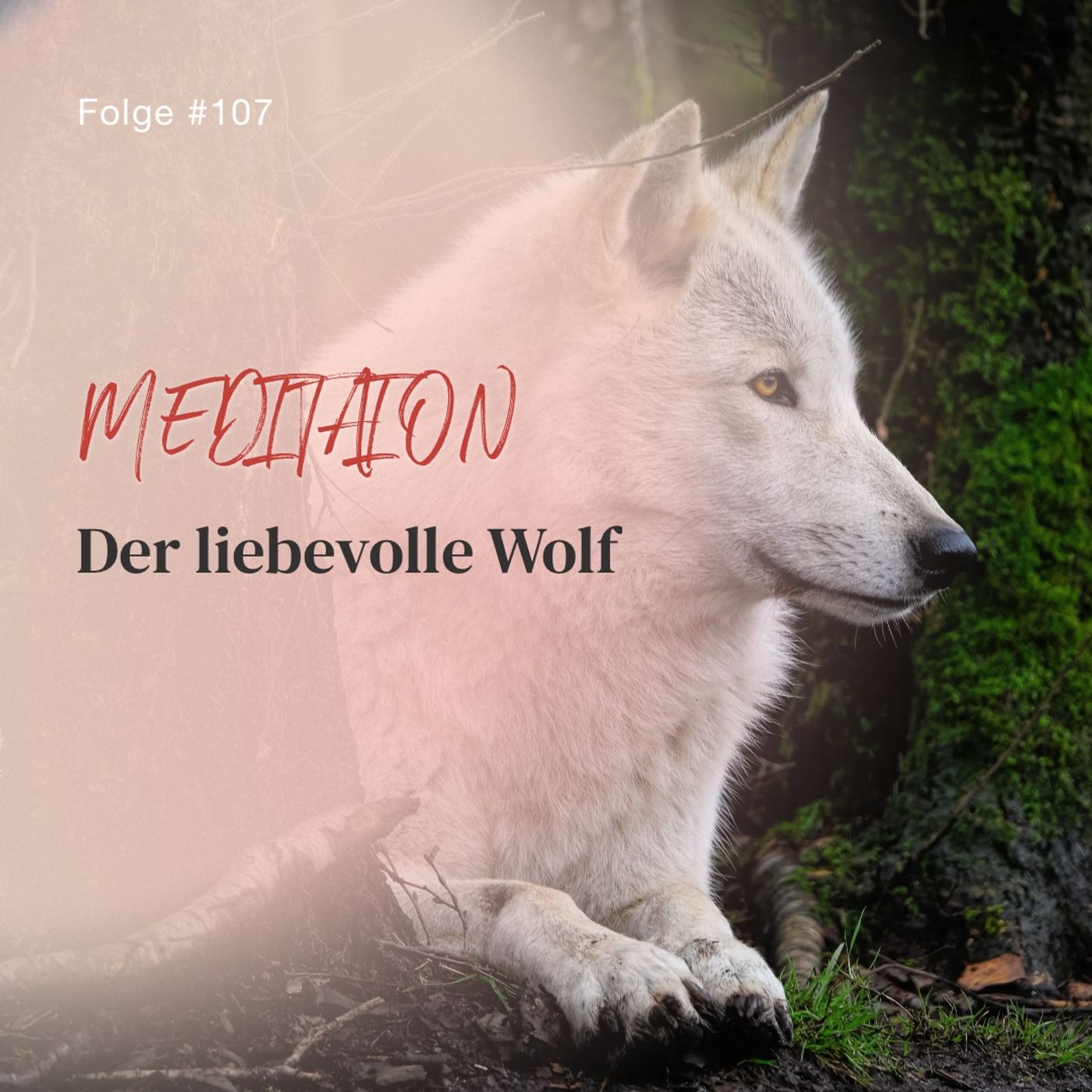 Der liebevolle Wolf | ca. 23 Min | Folge 107 episode artwork