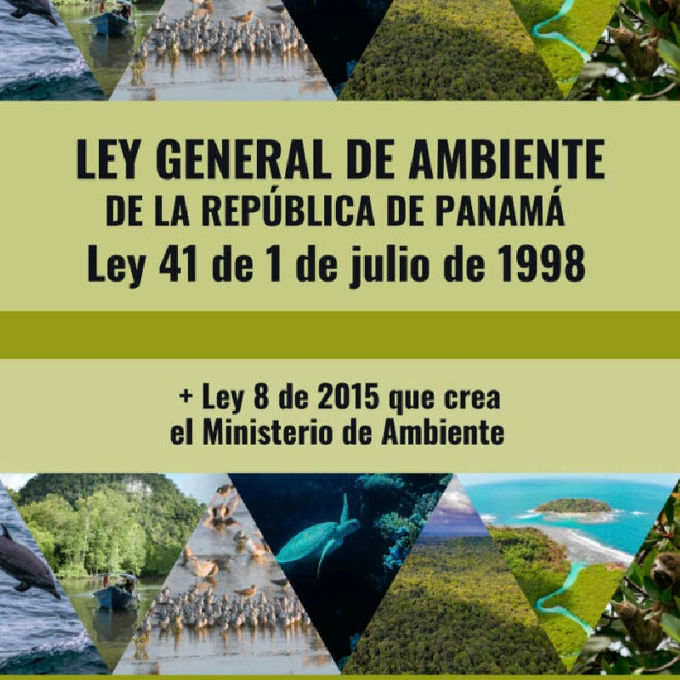 Episodio 1 - El podcast de ley general de ambiente episode artwork