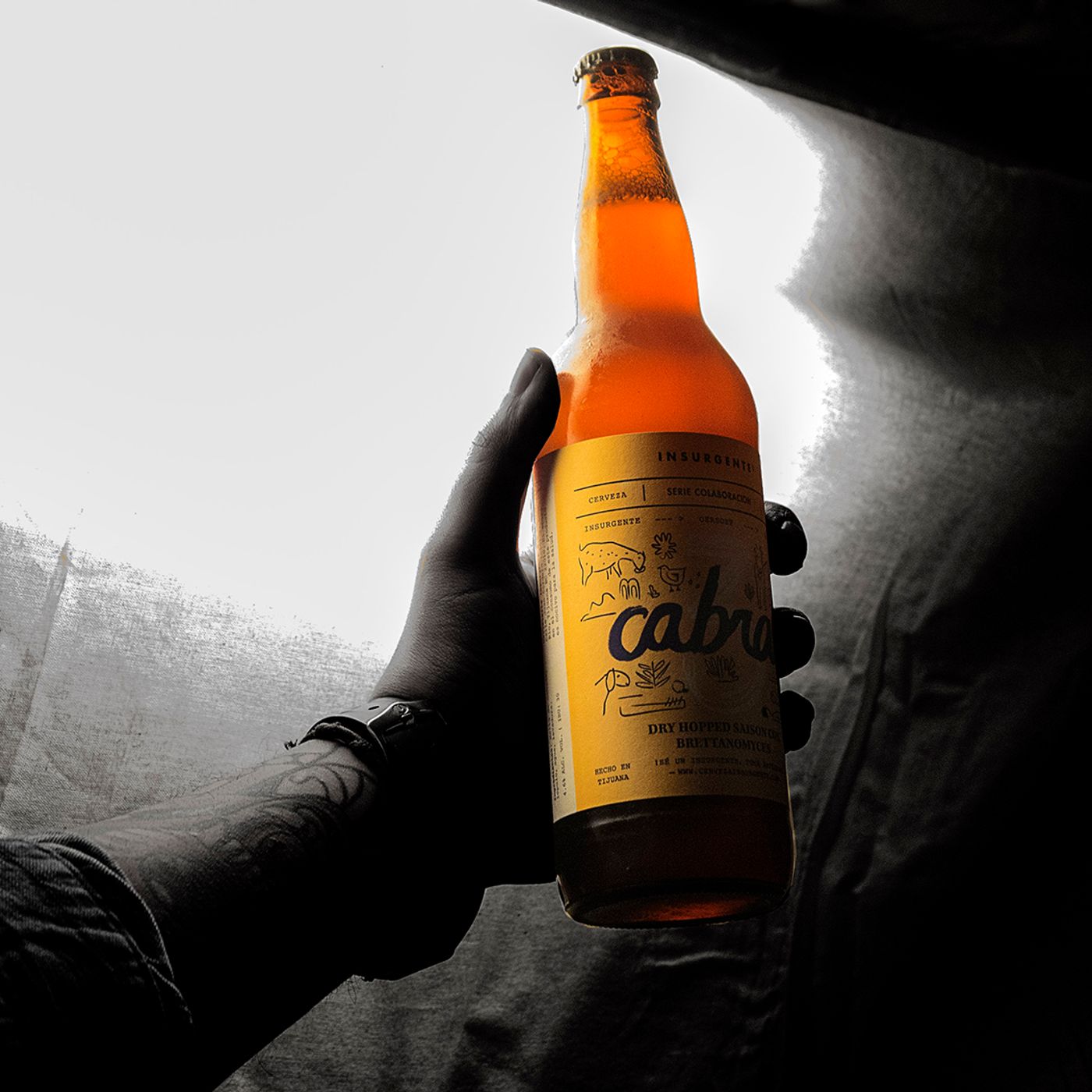 Cervezas Artesanales Méxicanas