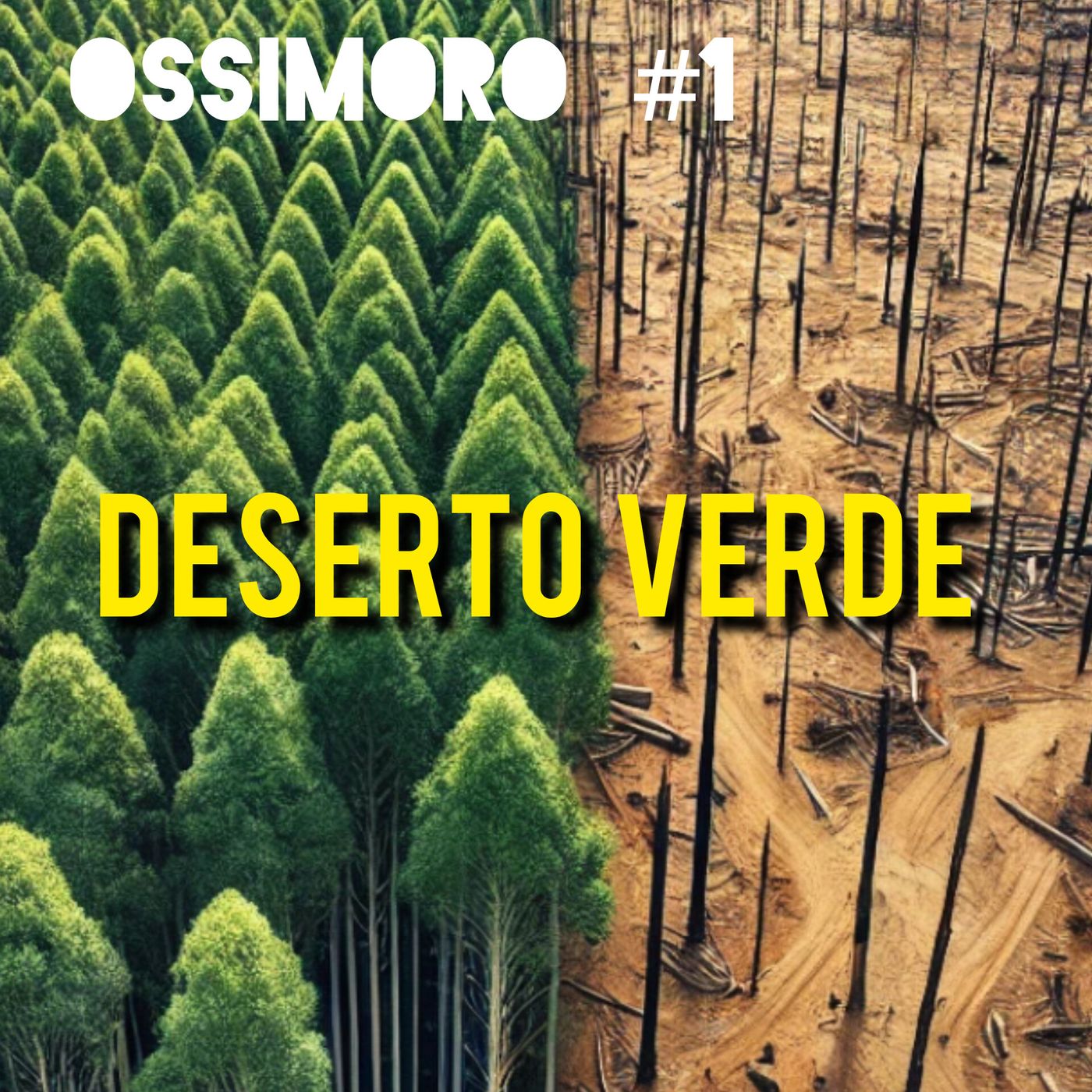 Ossimoro #1 DESERTO VERDE