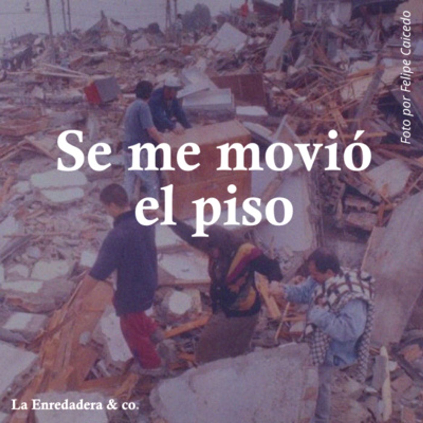La Enredadera & co.