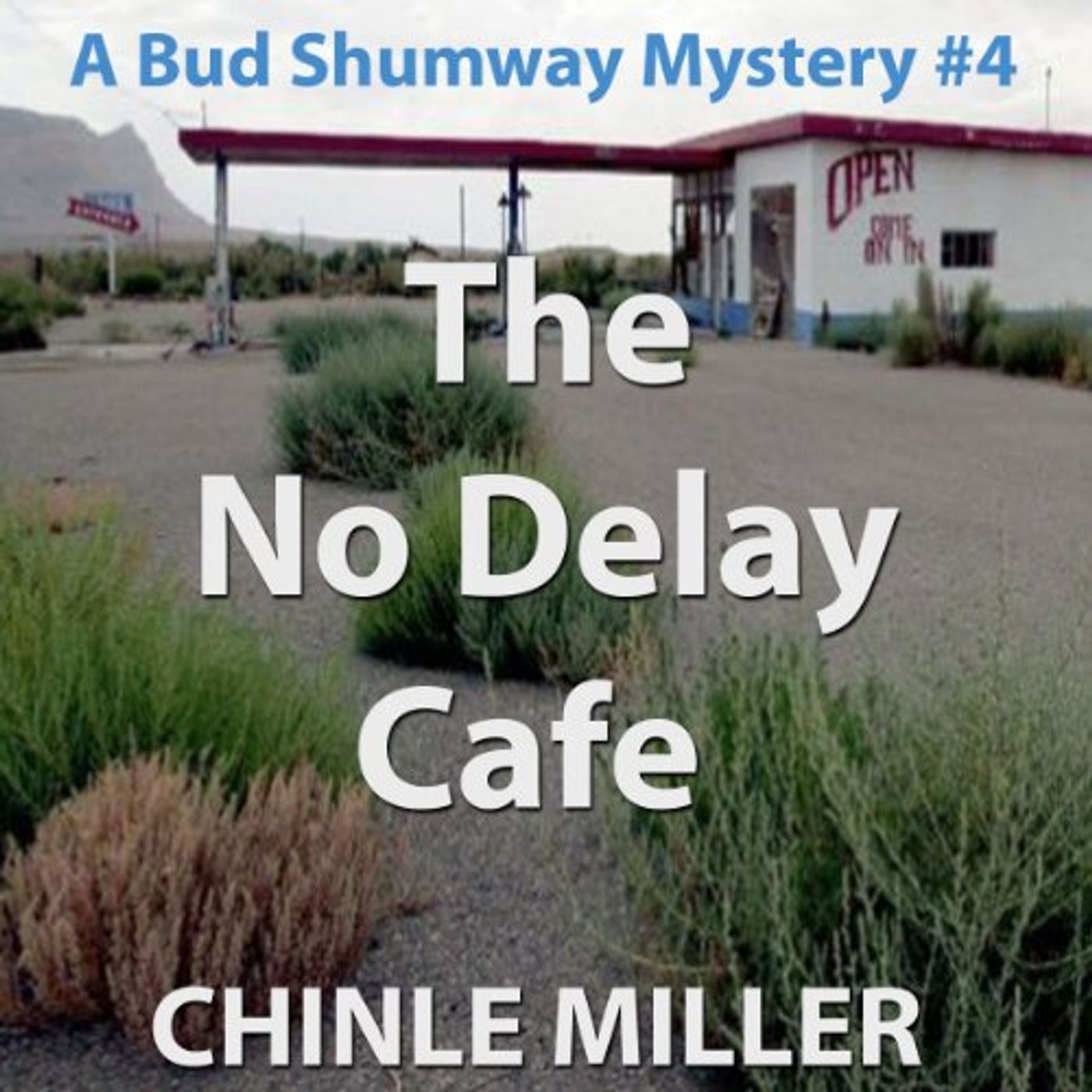 Discover Most Popular Audiobooks in Mysteries & Thrillers, Modern Detective