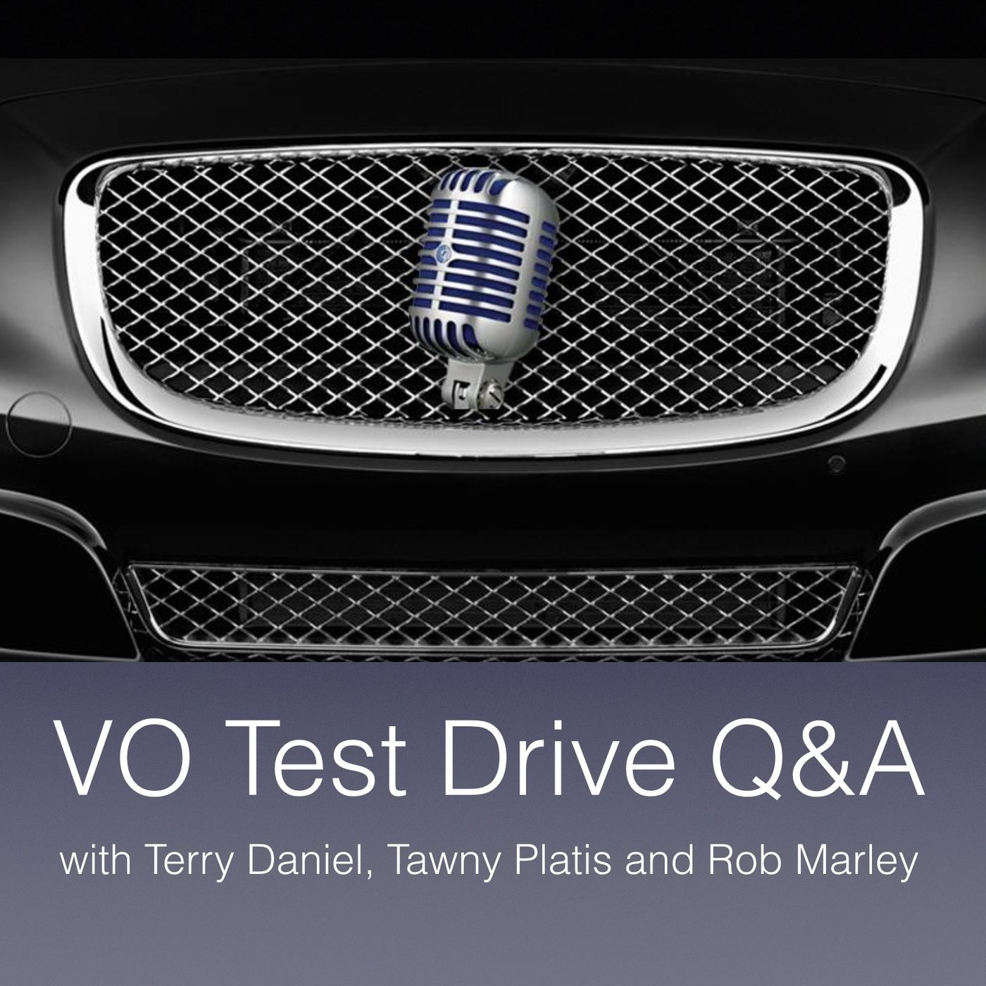 Voiceover Sermons with Terry Daniel