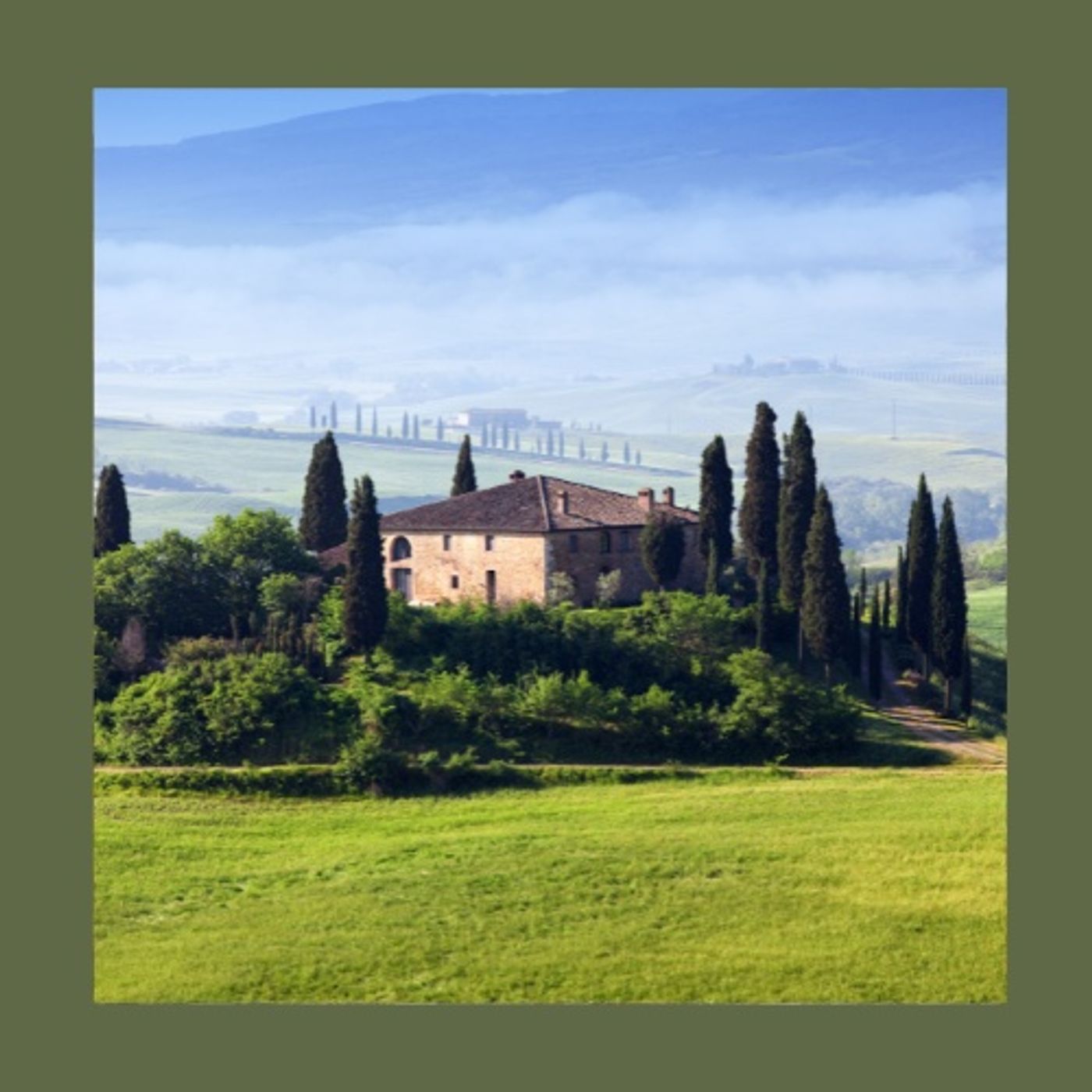 #229 Prima di comprare piante, osserva