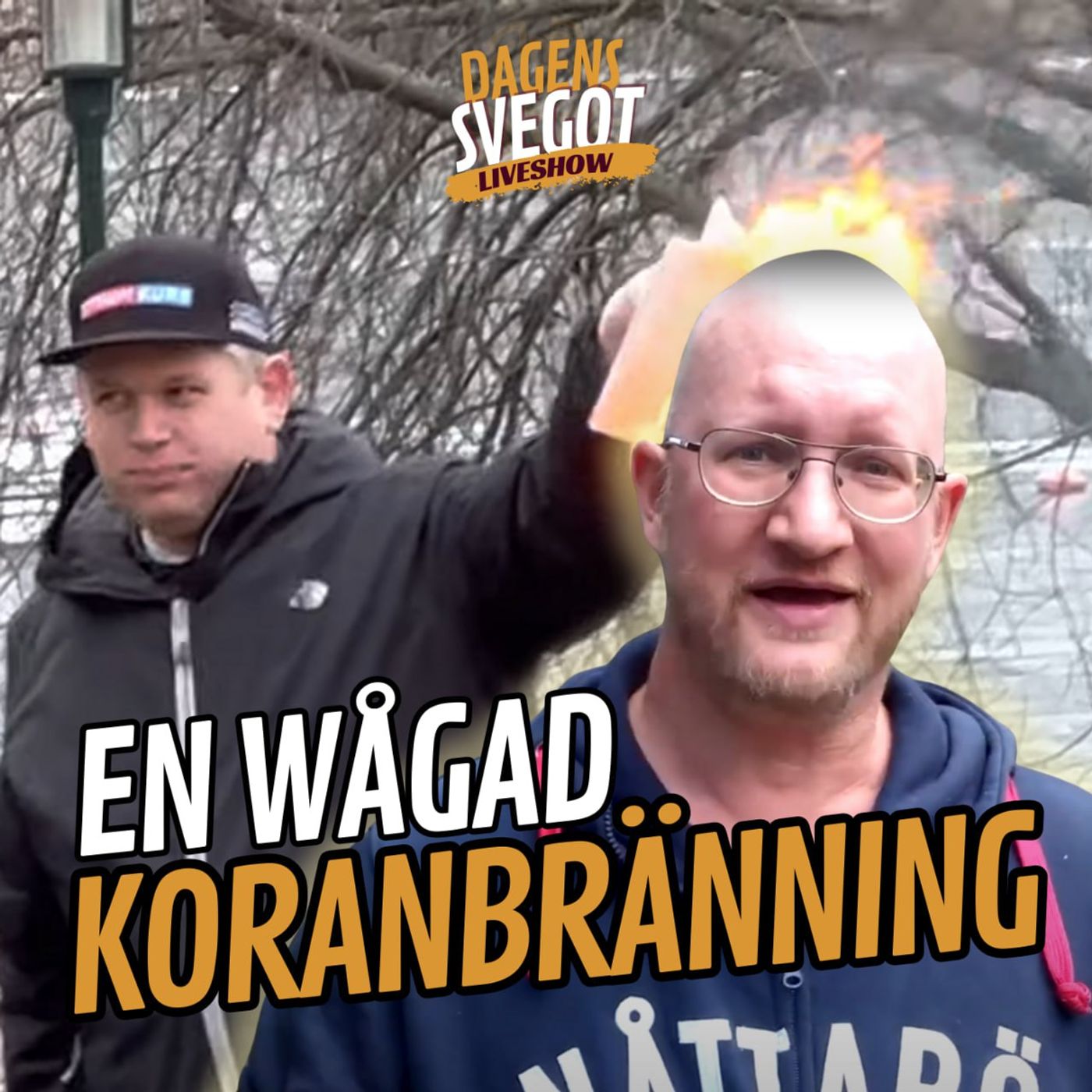 Det fria Sverige