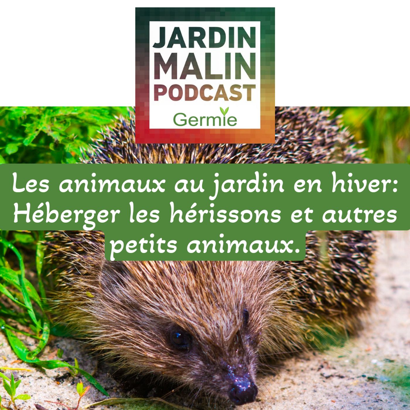 JARDIN MALIN by Germie