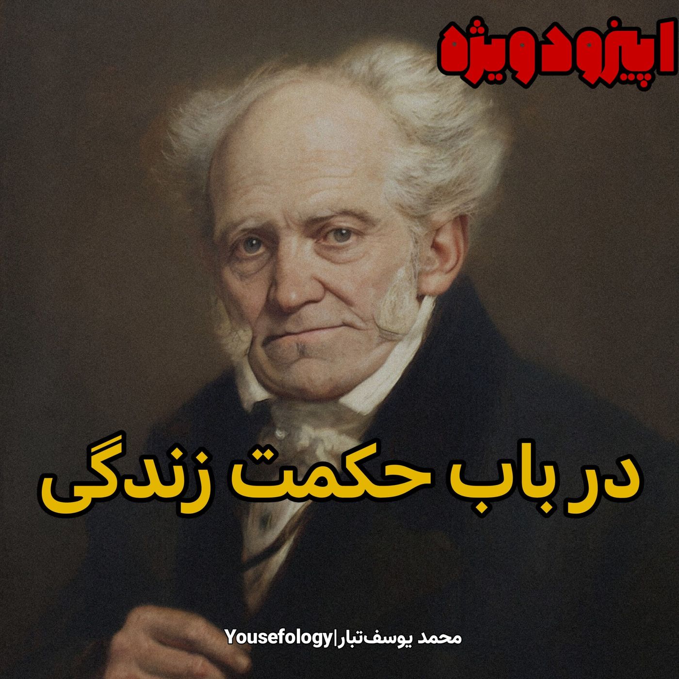 اپیزود ویژه|خلاصه و معرفی کتاب در باب حکمت زندگی - آرتور شوپنهاور episode artwork