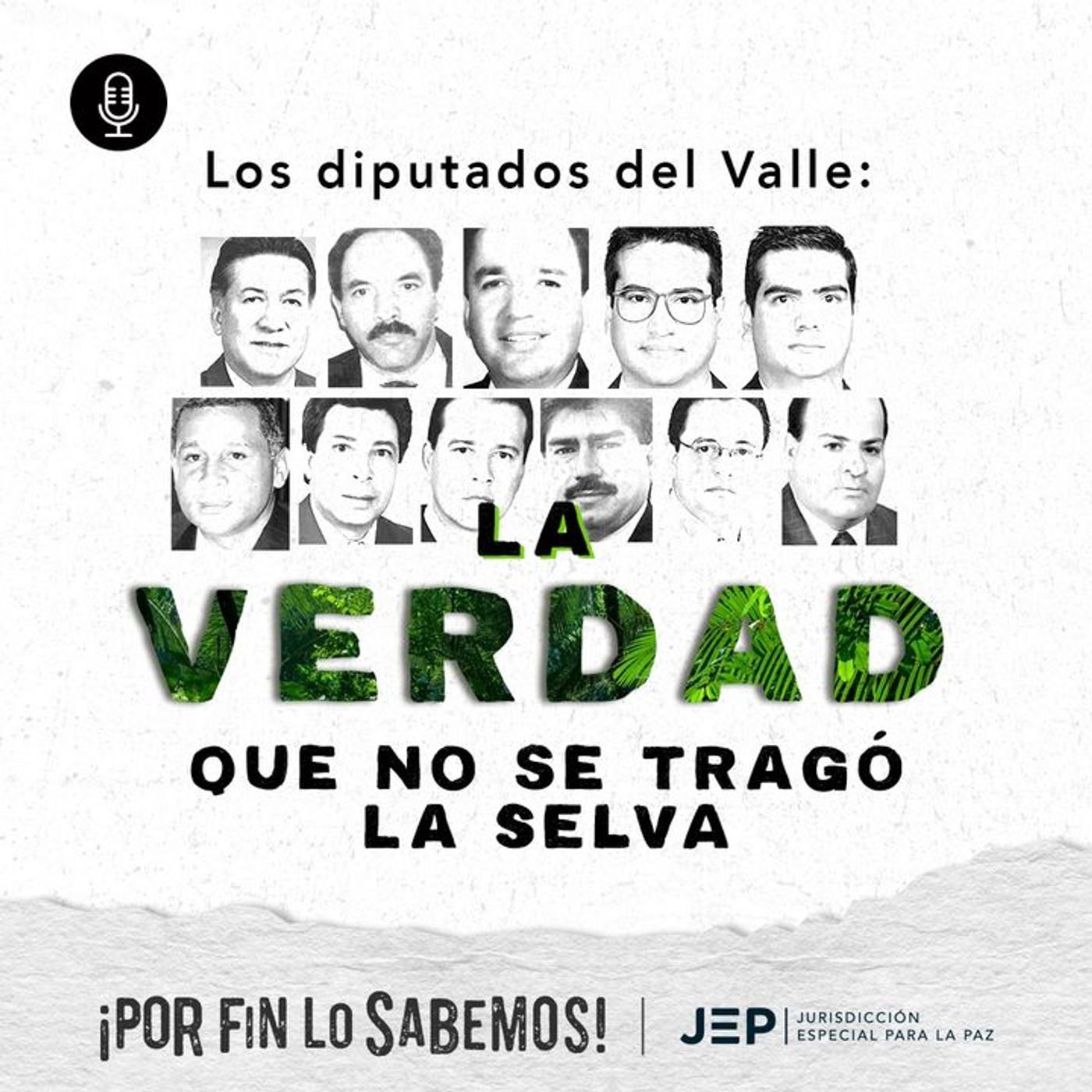 Los diputados del Valle: La verdad que no se tragó la selva