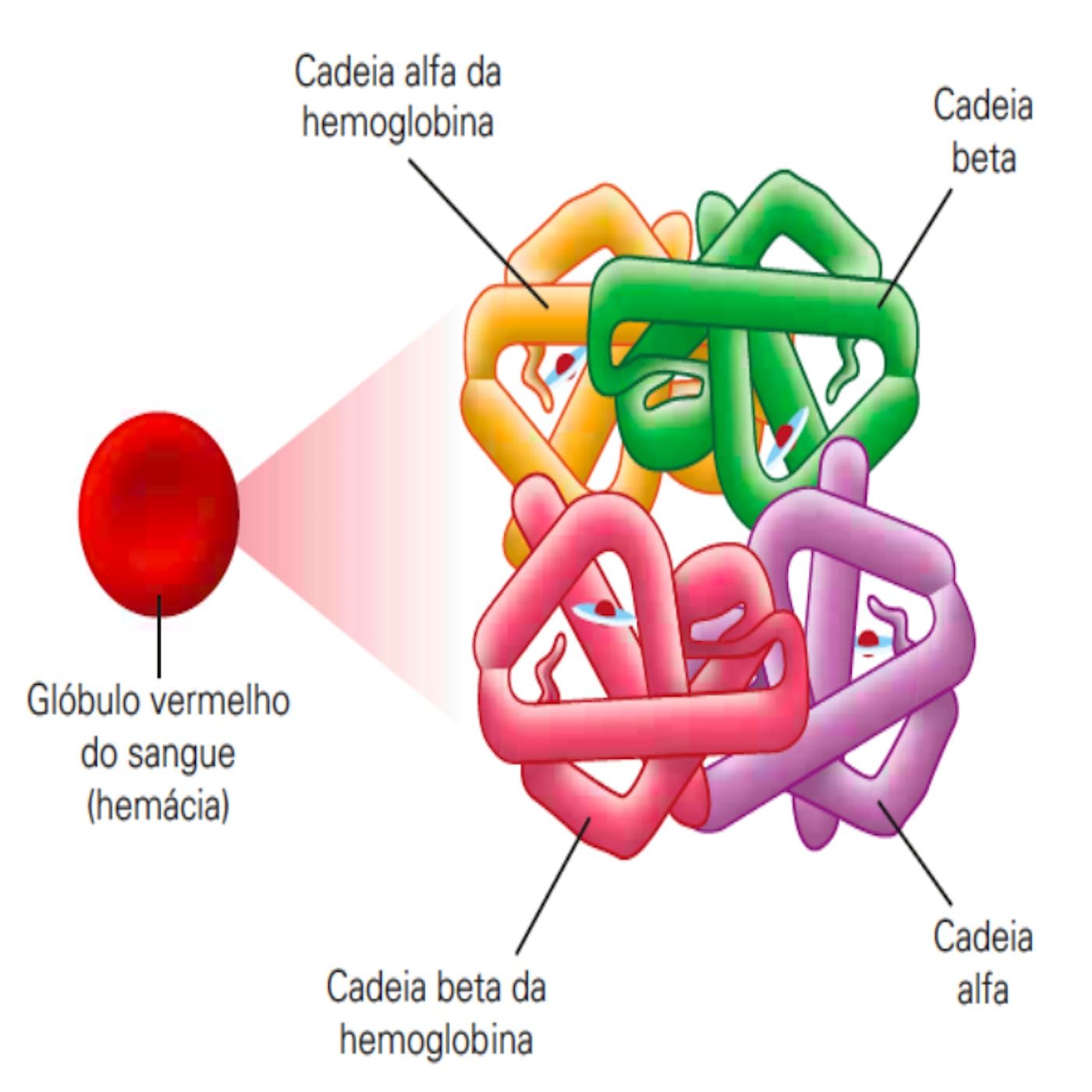 Ep03 - Ap01 - Proteínas I