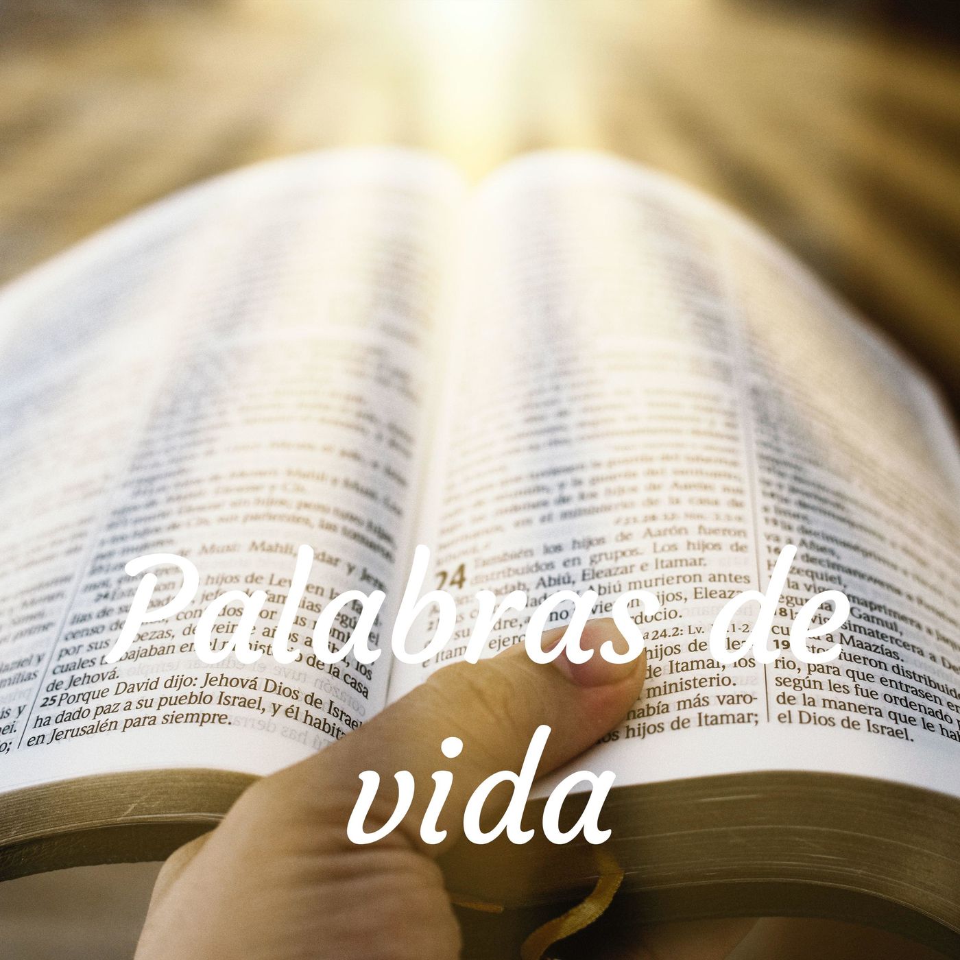 Restauración Sur Misión Cristiana