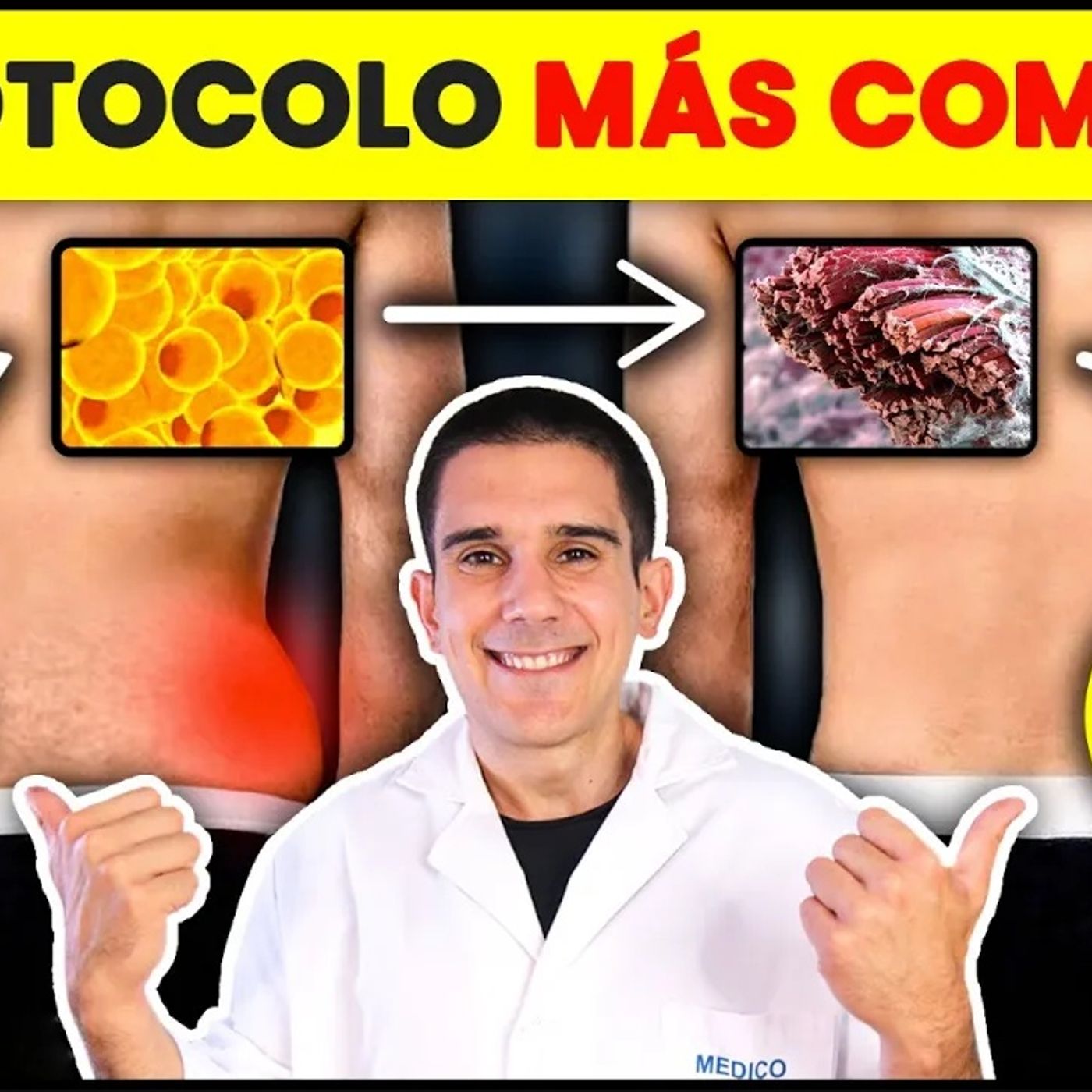 💡DESCUBRE cómo Eliminar RÁPIDO la *GRASA REBELDE ABDOMINAL* entendiendo su funcionamiento (7 PASOS)