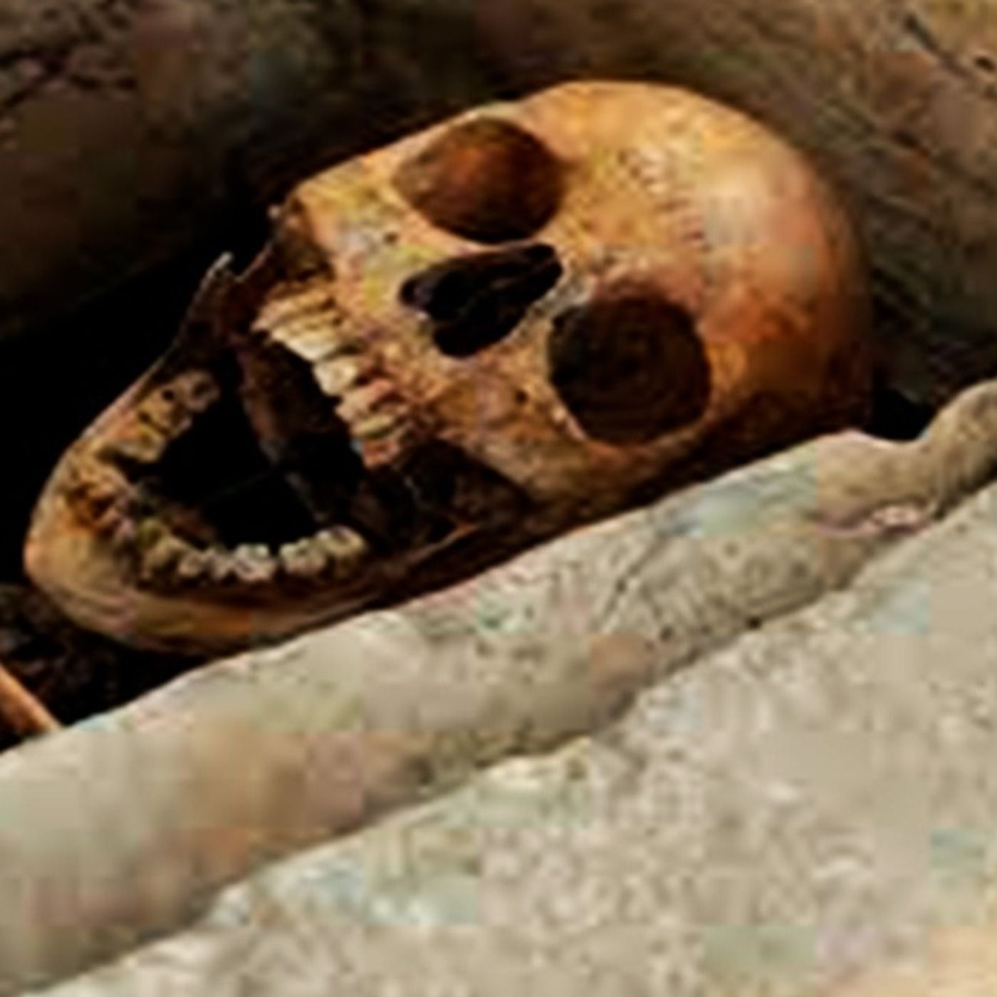 Jardín De Huesos Historias De Terror - REDE