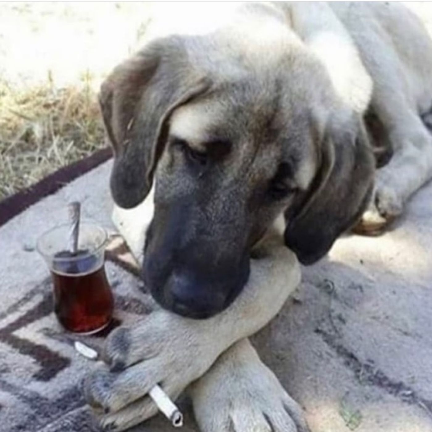Allam bu yaşamak mı