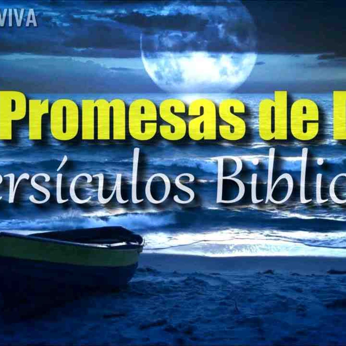 Versículos Bíblicos Para Dormir y Sentir Paz _ Sleep With God_s Word(MP3_160K) episode artwork