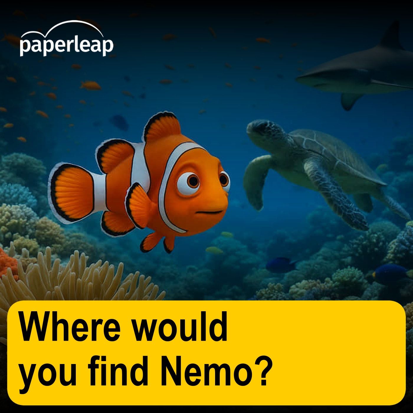 Where would you find Nemo?