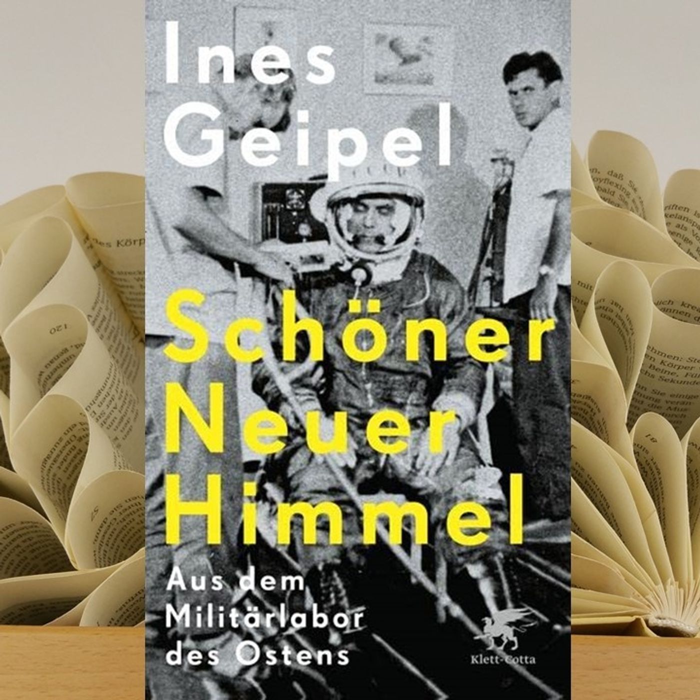 23.16. Ines Geipel - Schöner Neuer Himmel (Renate Zimmermann) episode artwork