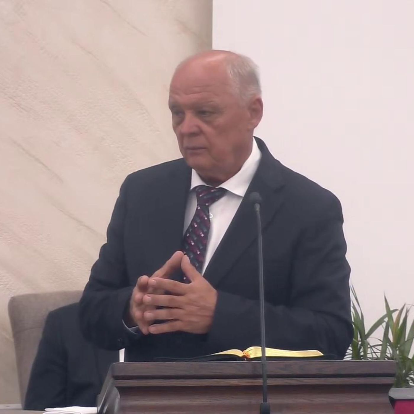 Ce va fi copilul acesta? - Nicu Butoi