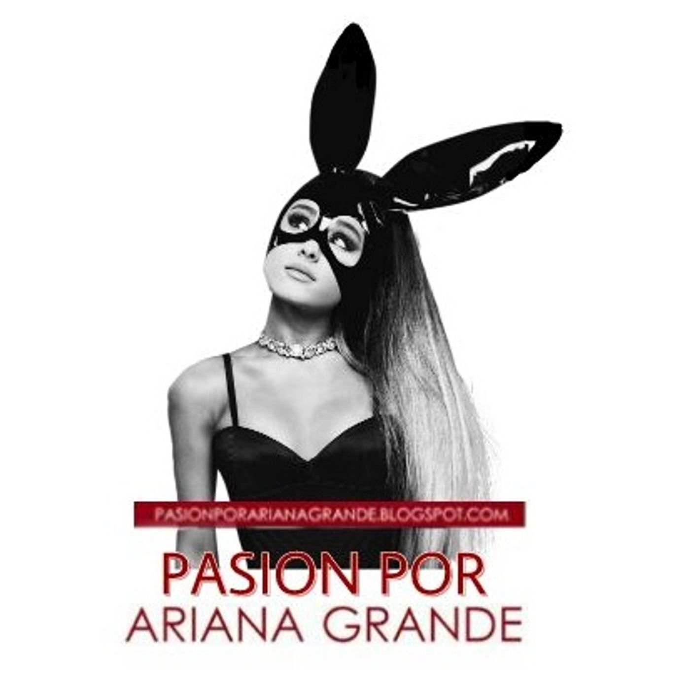 Pasión Por Ariana Grande