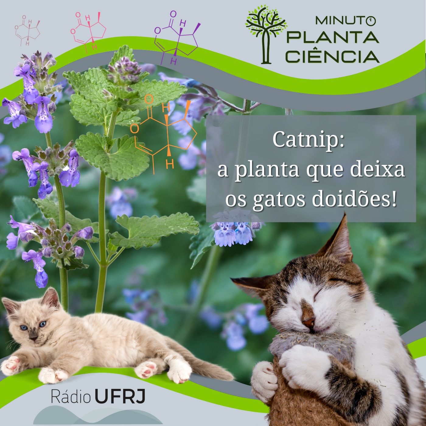 PlantaCiência