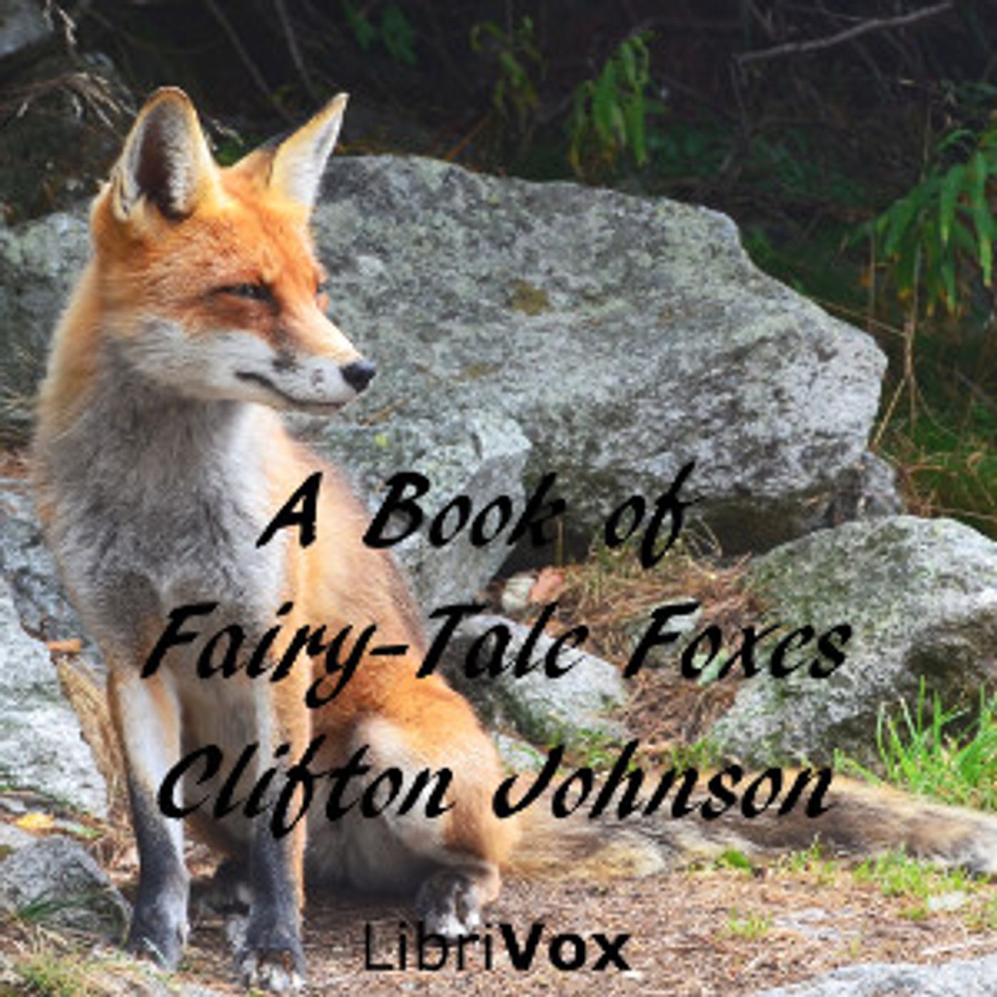 Book of Fairy-Tale Foxes, A by Clifton Johnson (1865 - 1940)