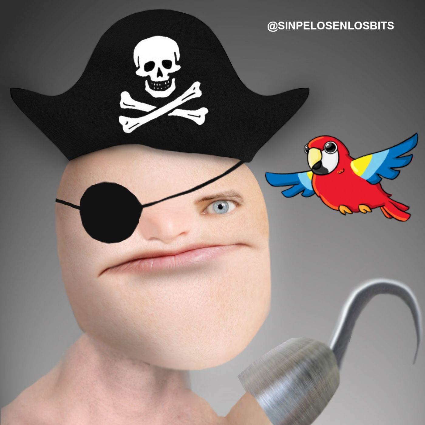 Portada de Sin Pelos en los Bits