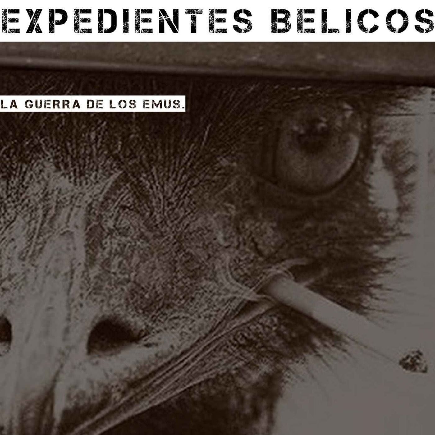 Portada de Expedientes Belicos