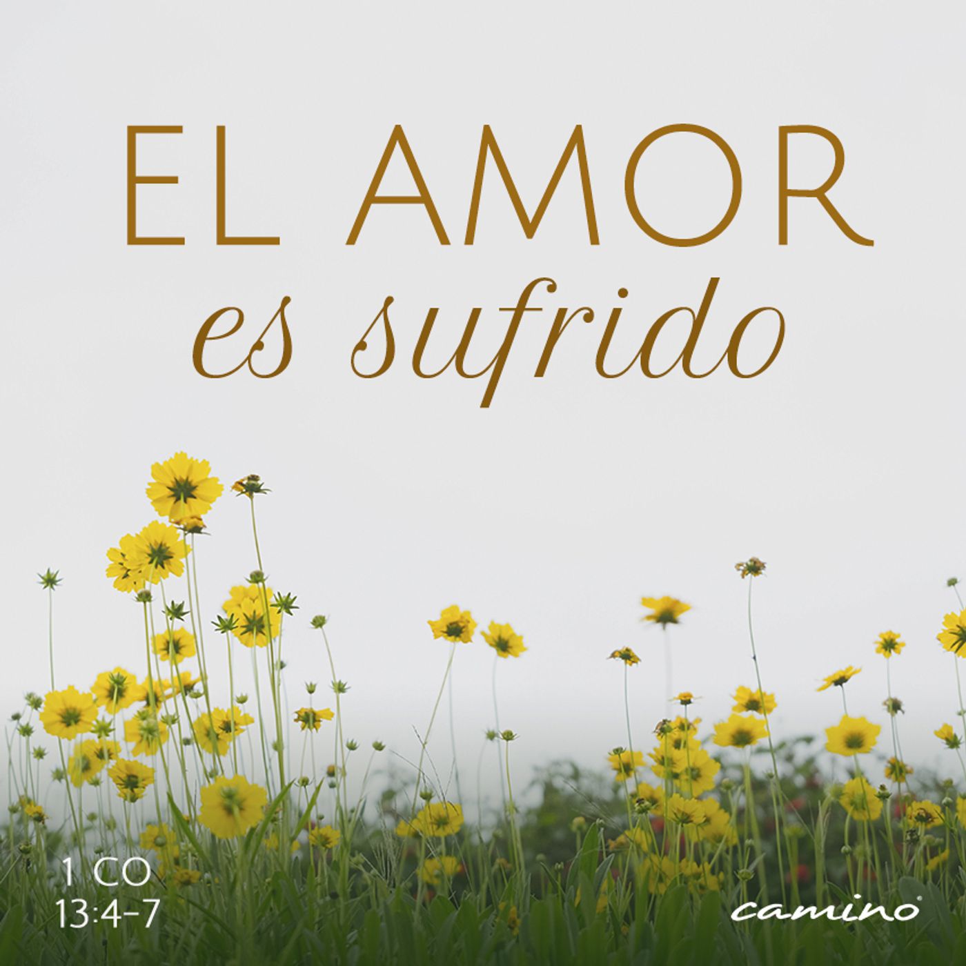 Oración 3 de marzo (El amor es sufrido) episode artwork