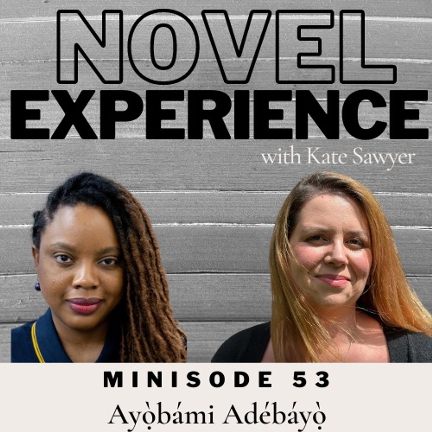 Minisode 53 - Ayọ̀bámi Adébáyọ̀ - advice before publication episode artwork