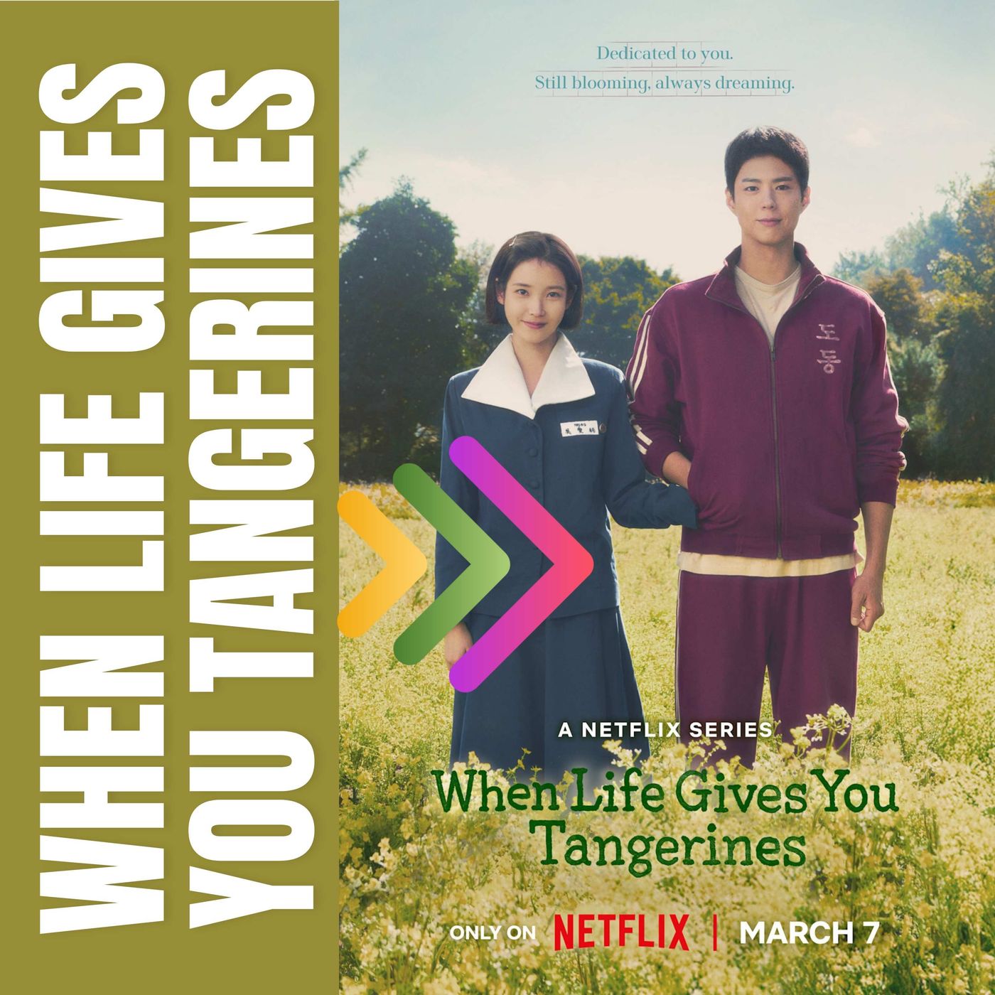 When Life Gives You Tangerines - The K-Drama You MUST Watch on Netflix! 🍊🔥 episode artwork