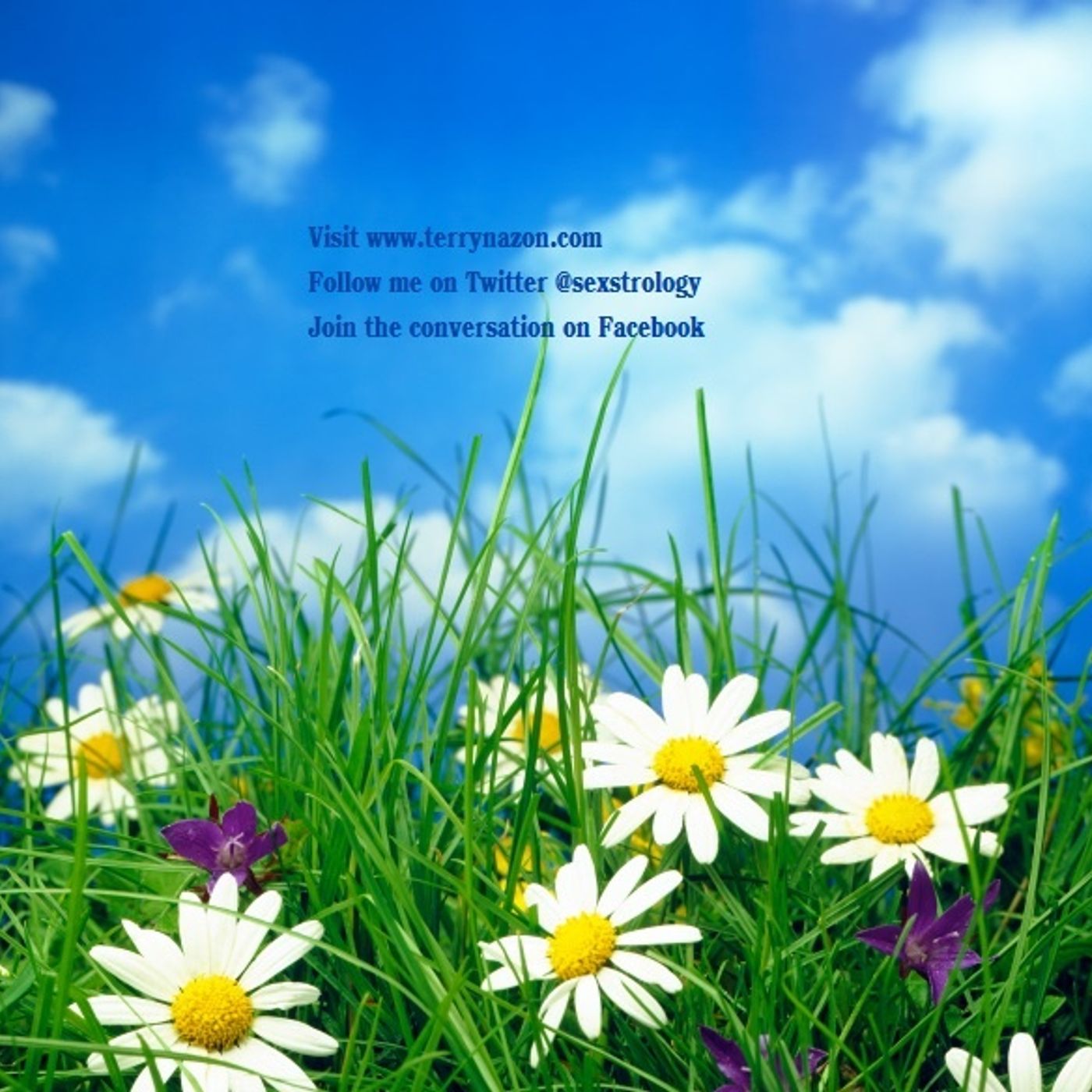 Aquarius Daily Horoscope Tues. April 15 episode artwork