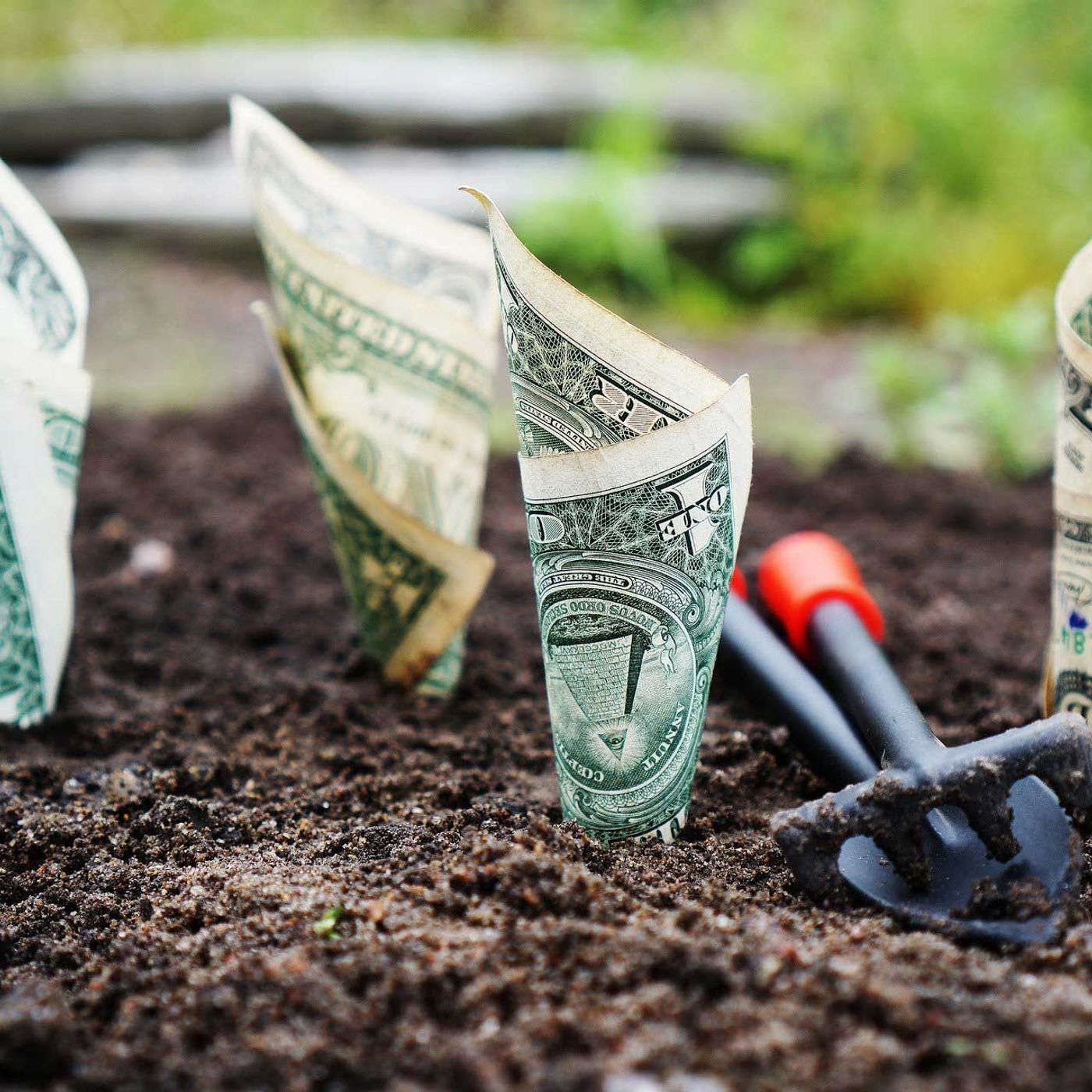 Finanziamenti per l'agricoltura