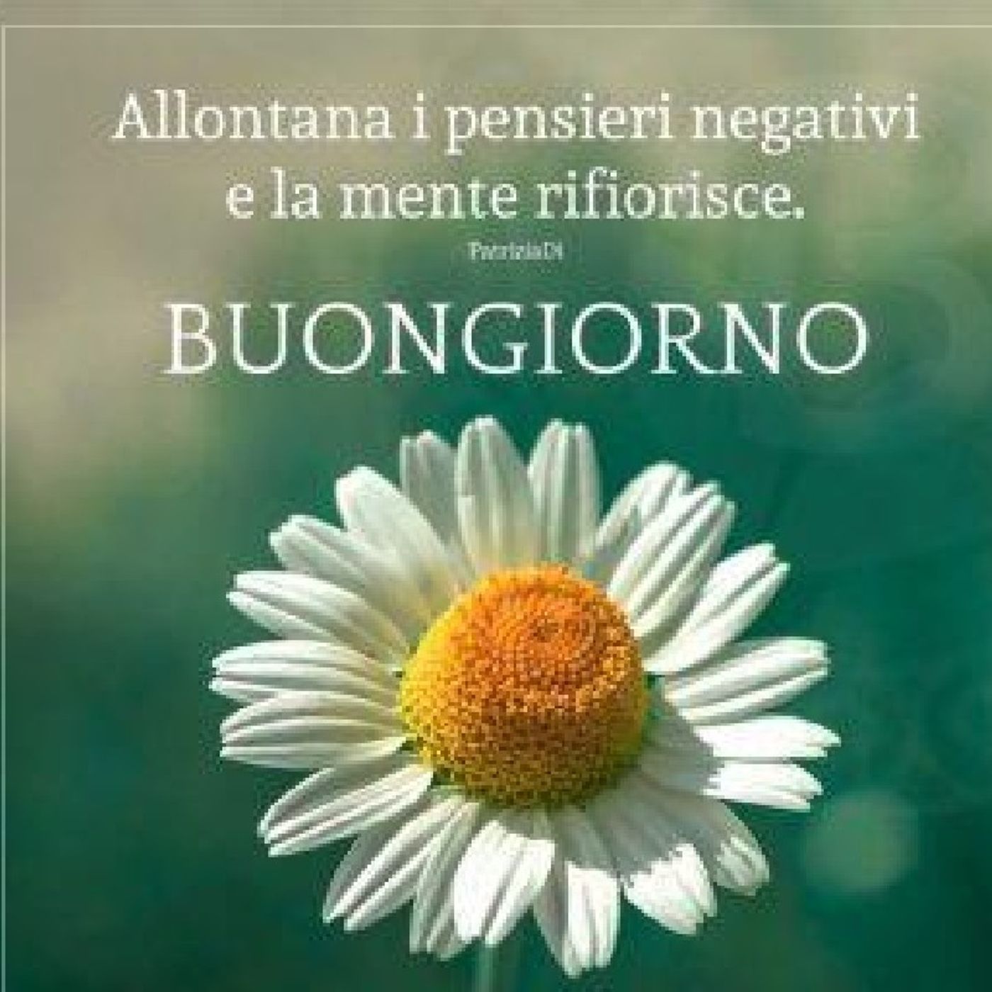 Lo show di Roberta Canu