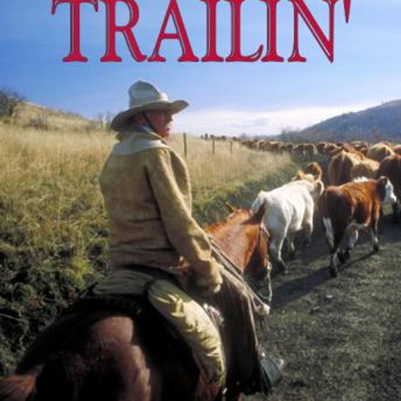 Download High-Quality Full Audiobooks in Fiction, Westerns & War