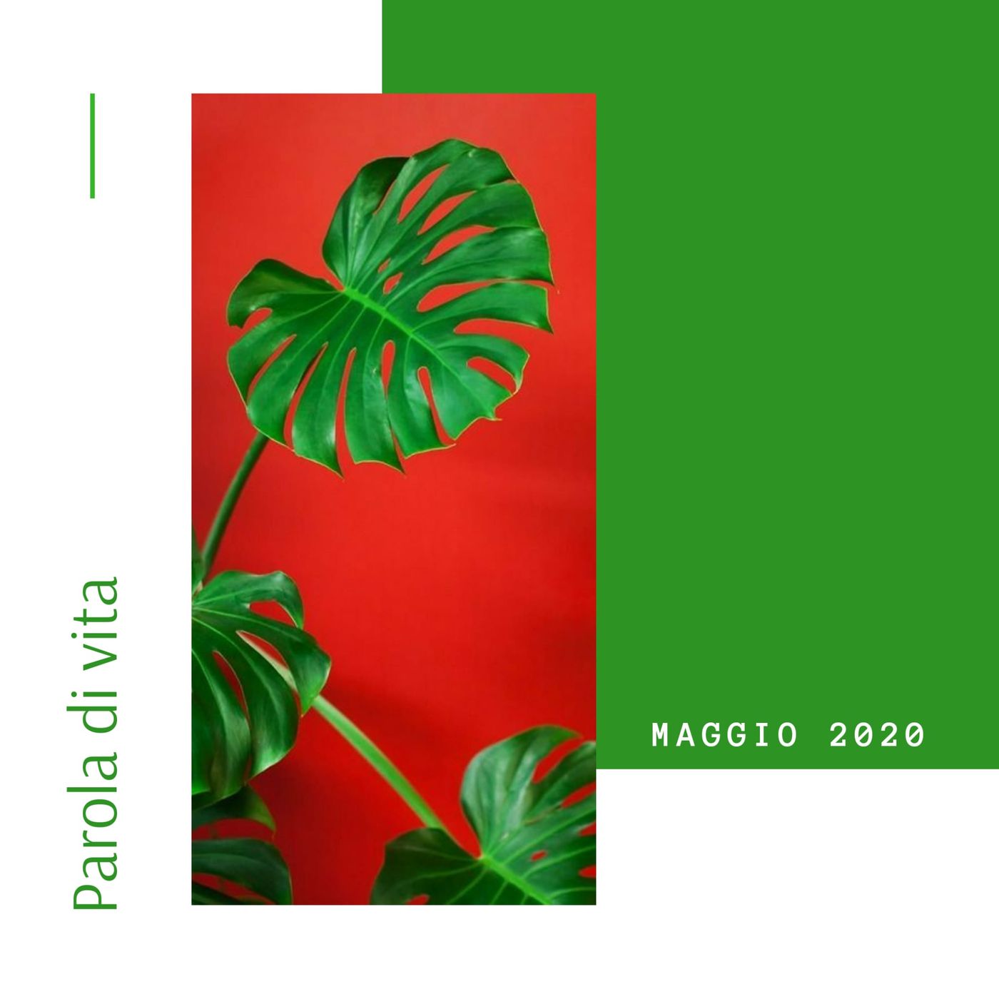 PDV - Marzo 2020