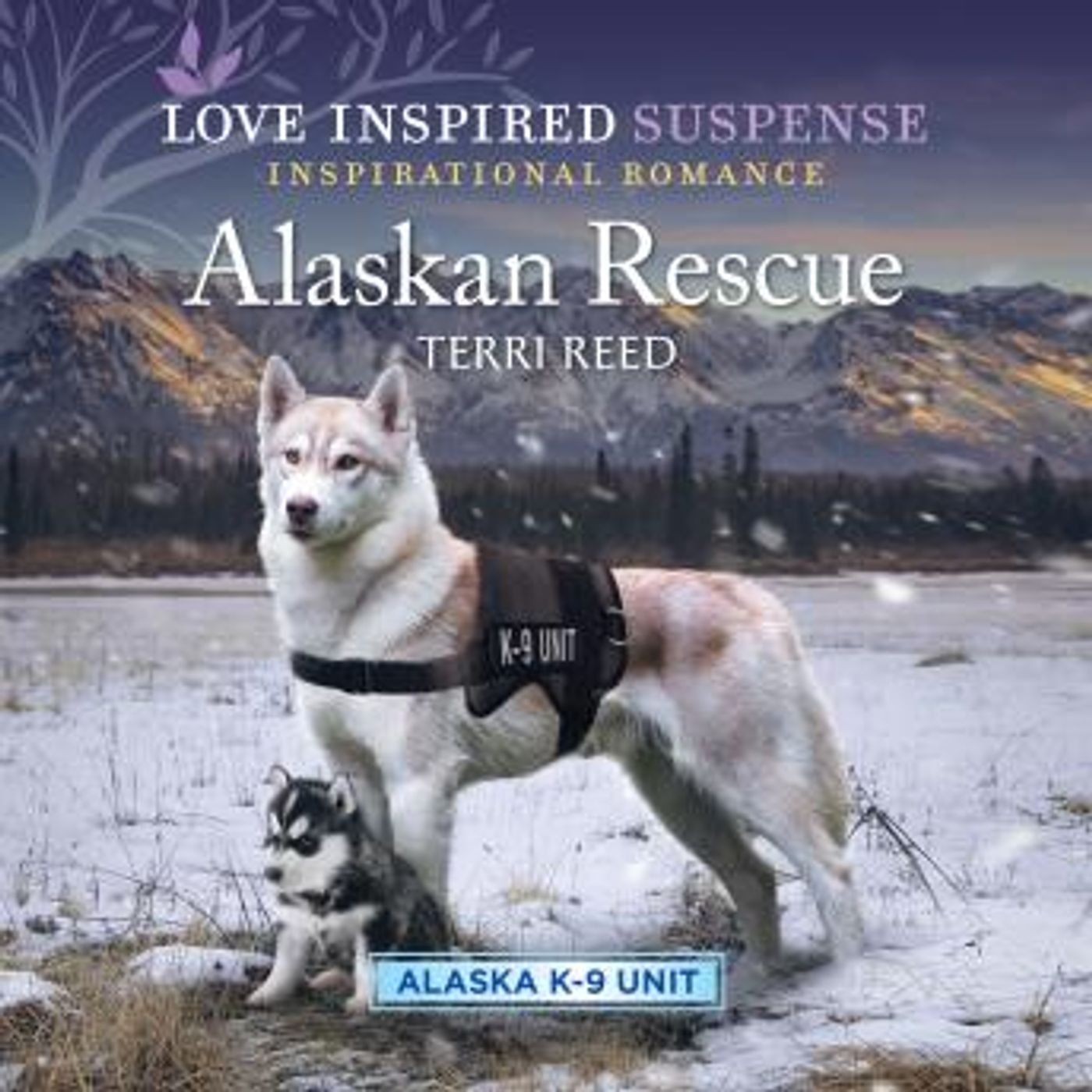 Download Best Full Audiobooks in Romance, Clean & Wholesome
