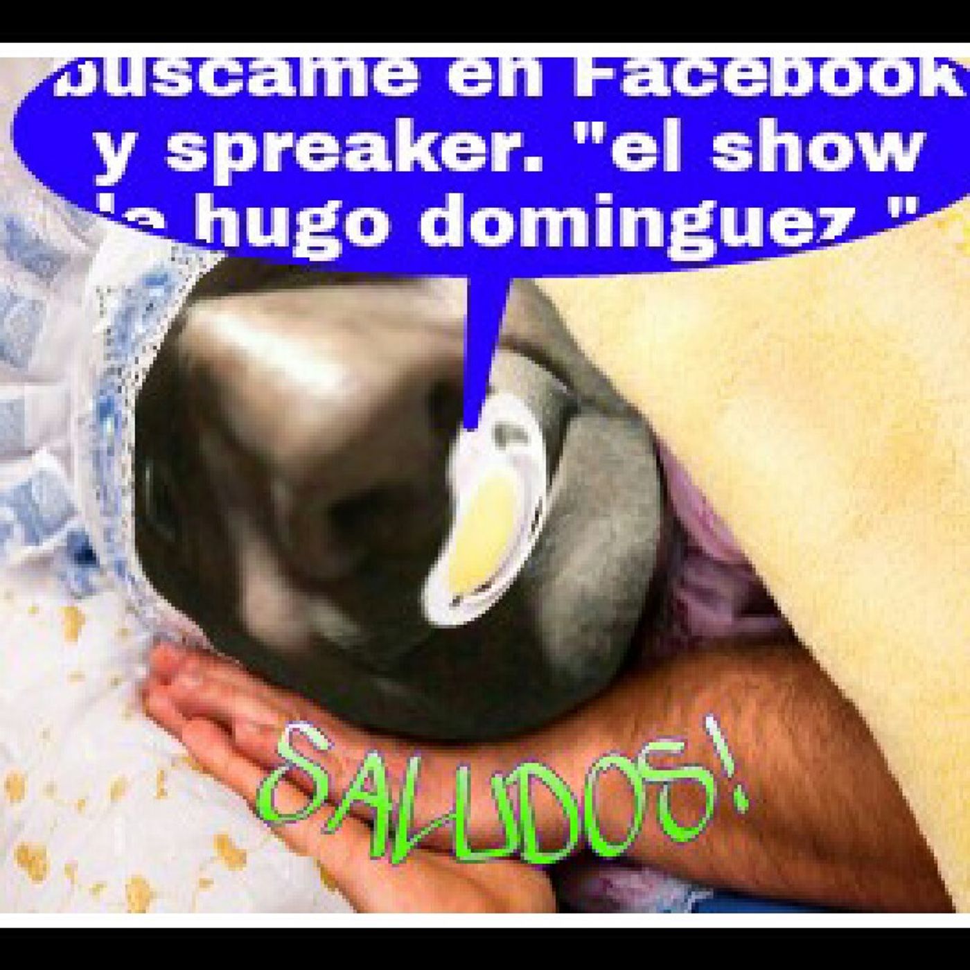 El show de Hugo Dominguez