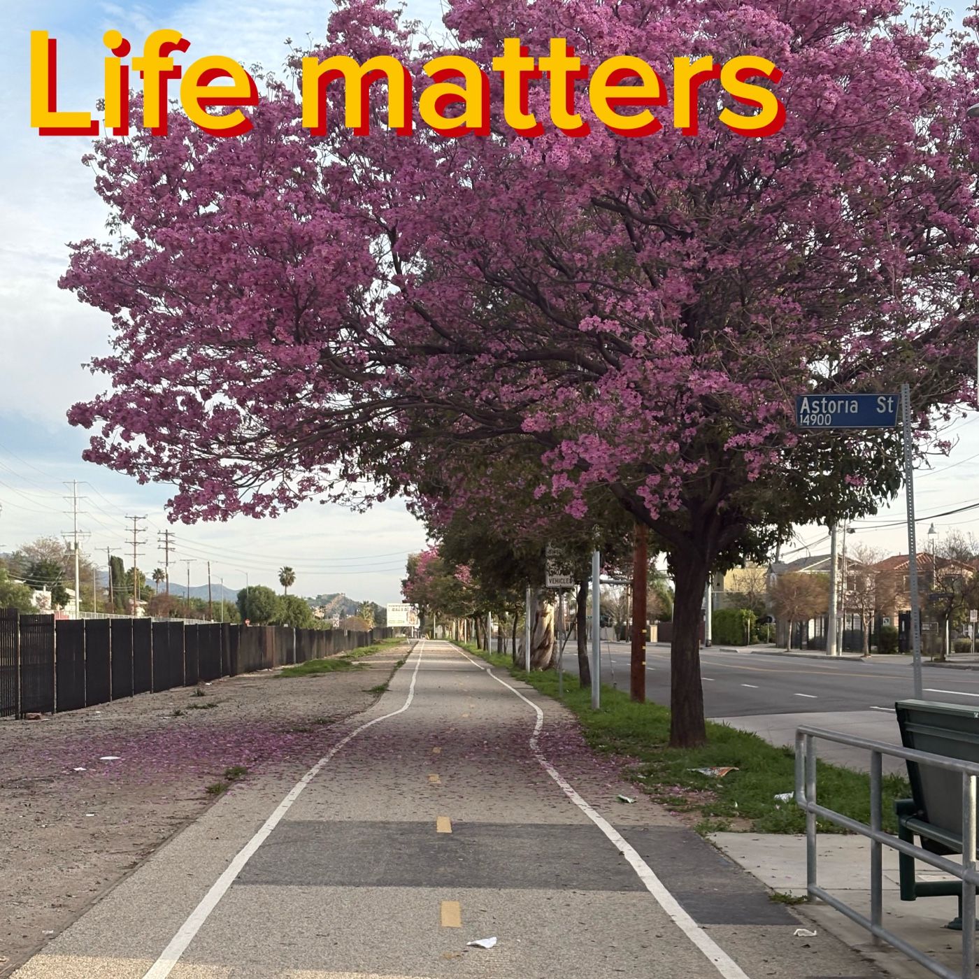 Life Matters cover art