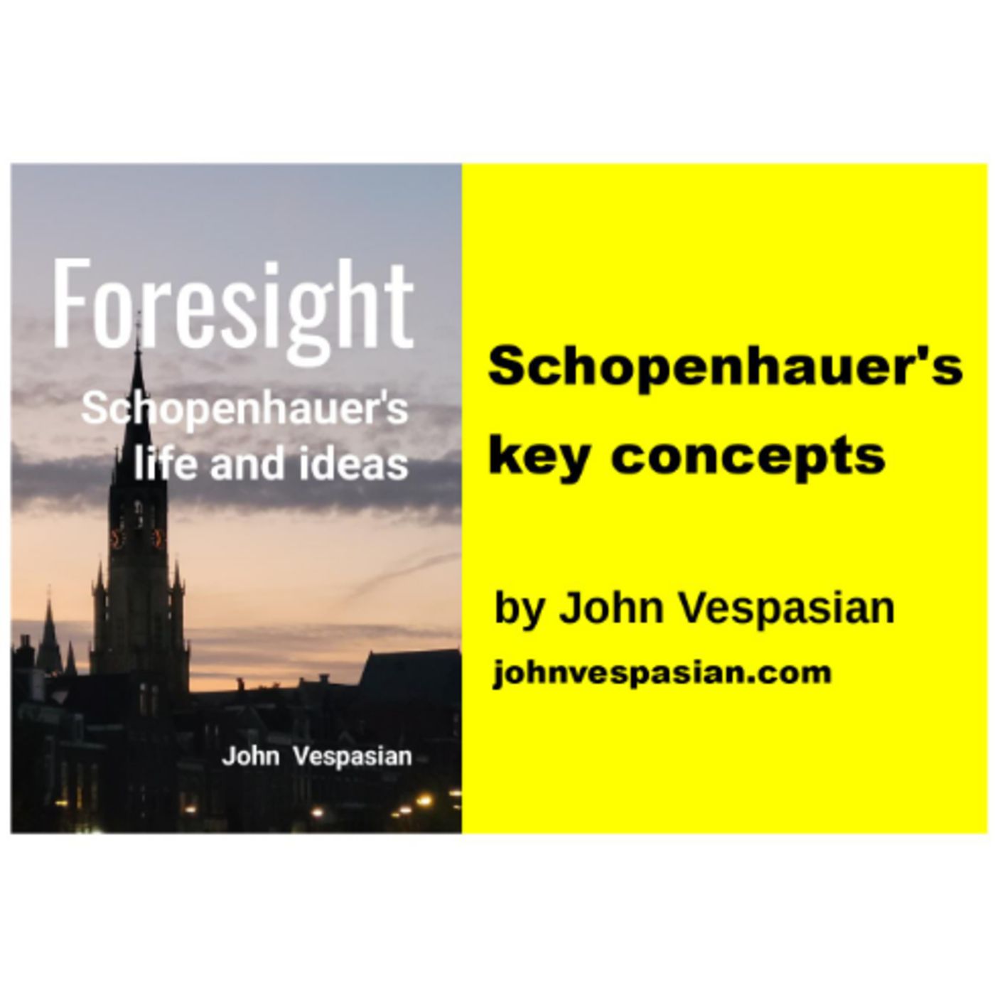 Schopenhauer's key concepts episode artwork