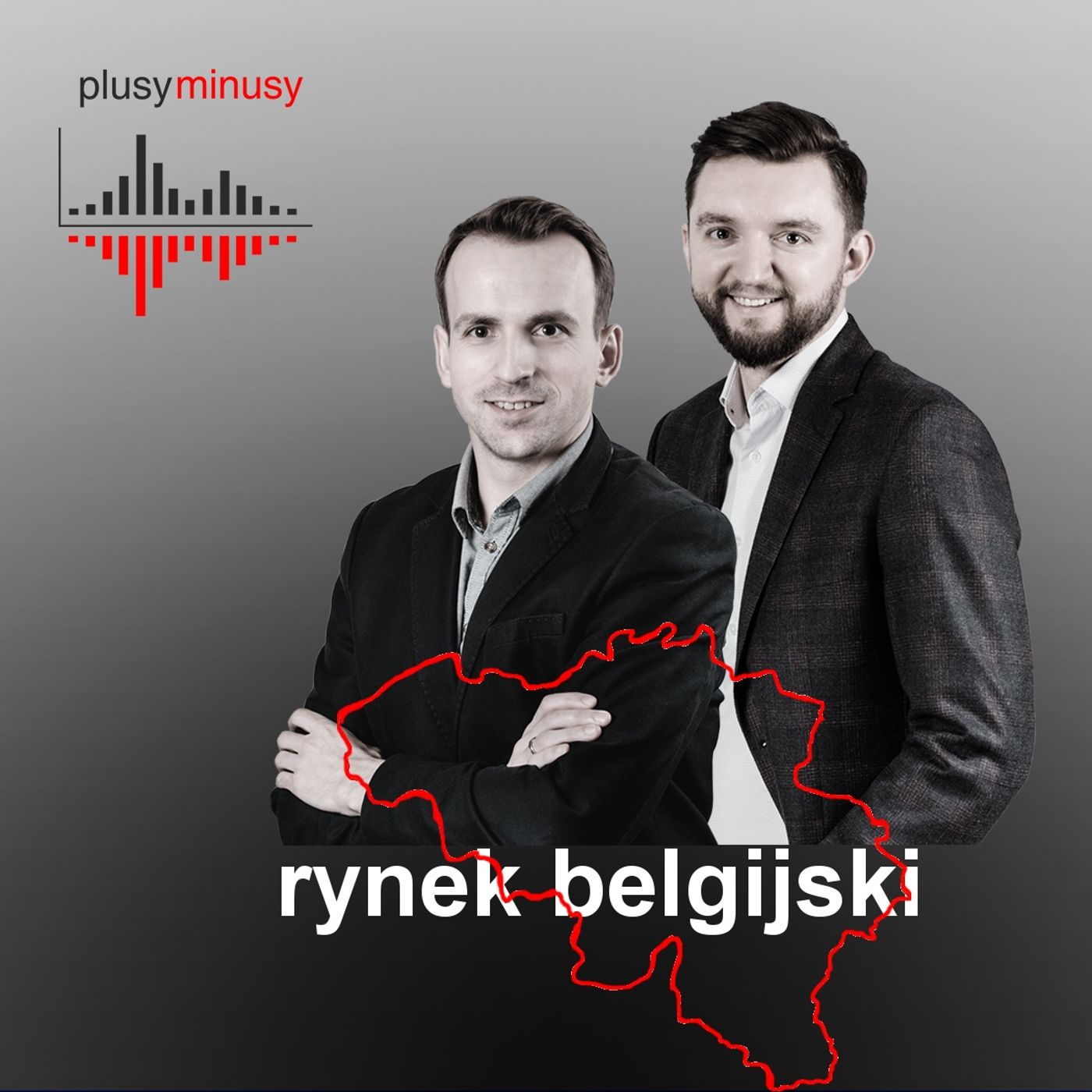 Plusy, minusy #6 - Rynek belgijski episode artwork