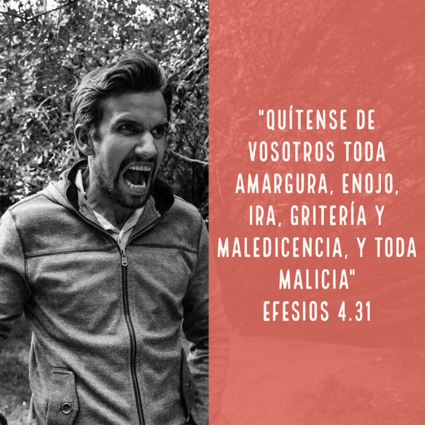 Reflexiones