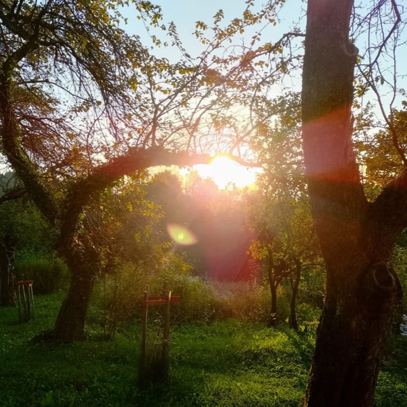 Tańcząc z Wiatrem