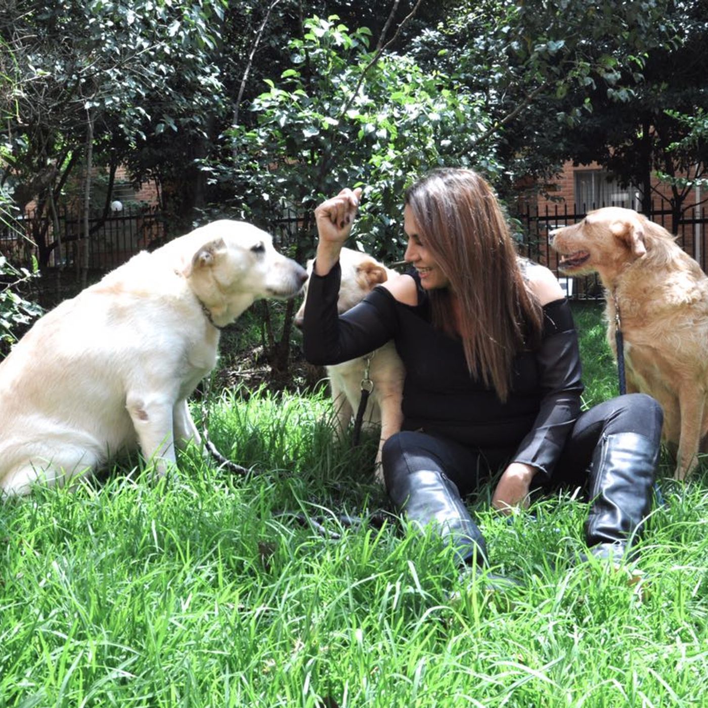 Hablando Con Animales