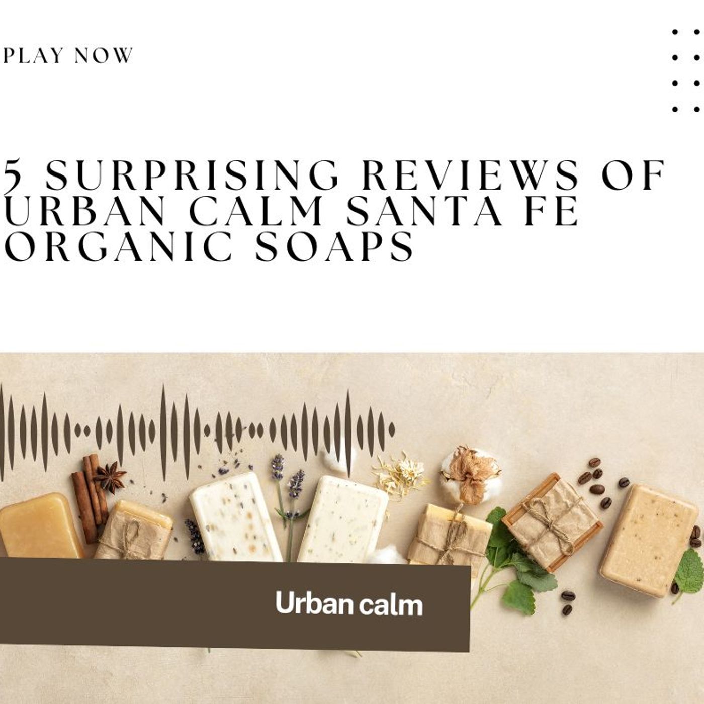 5 Surprising Reviews of Urban Calm Santa Fe Organic Soaps episode artwork