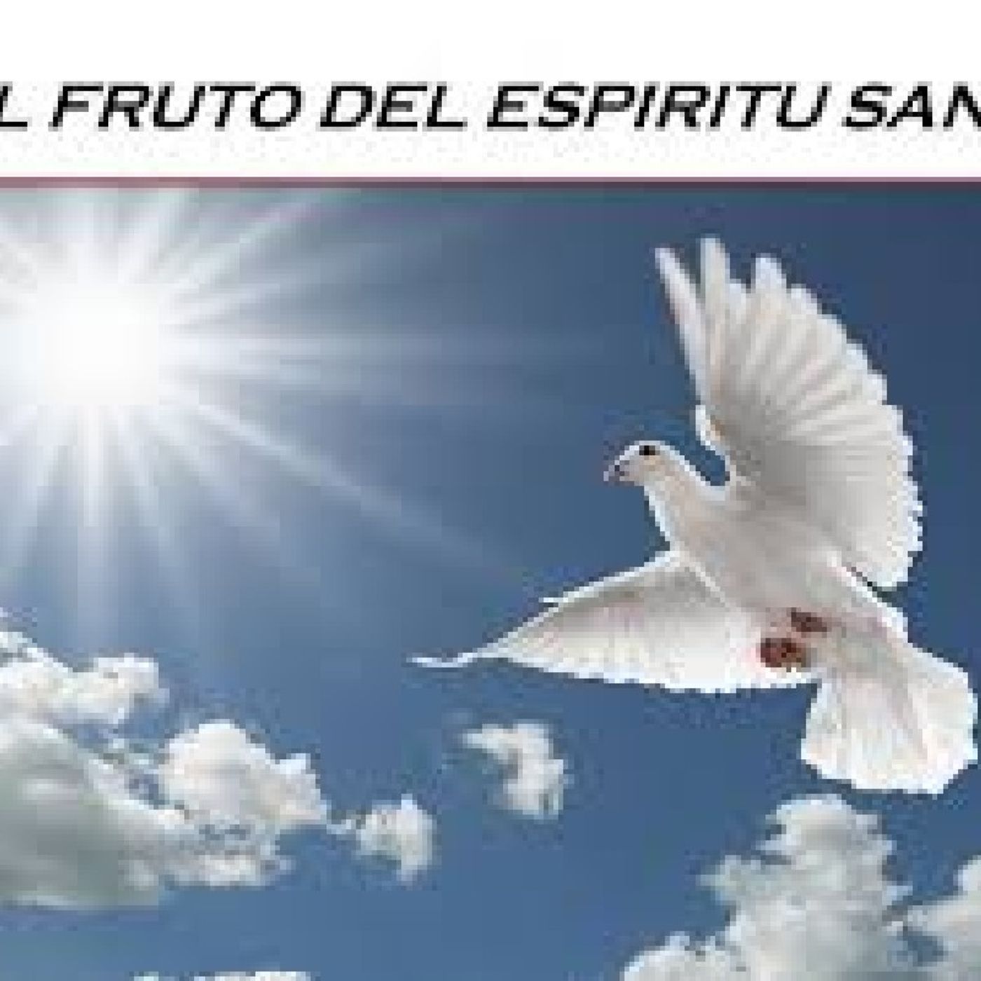 Misericordioso Y Fiel episode artwork