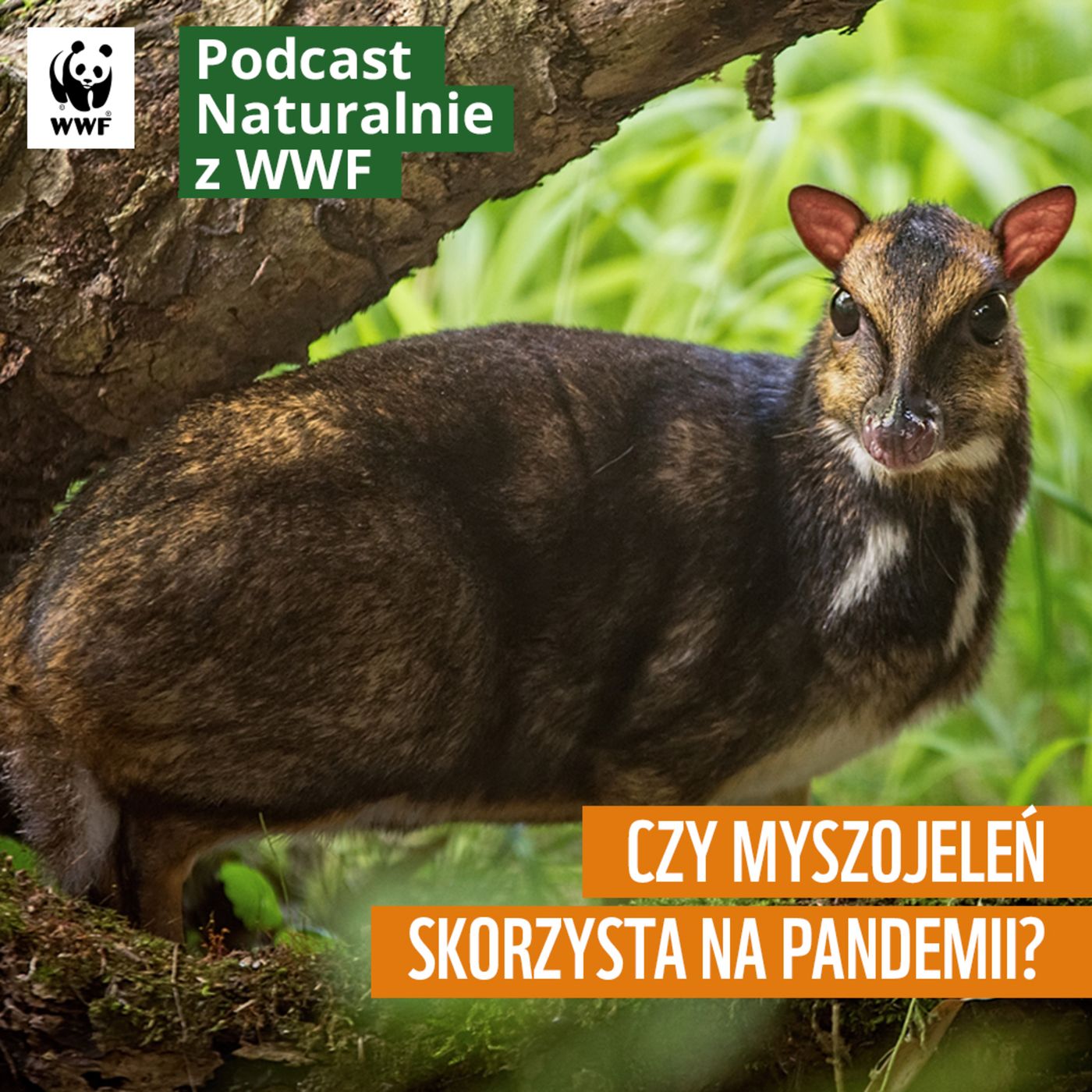 Naturalnie z WWF