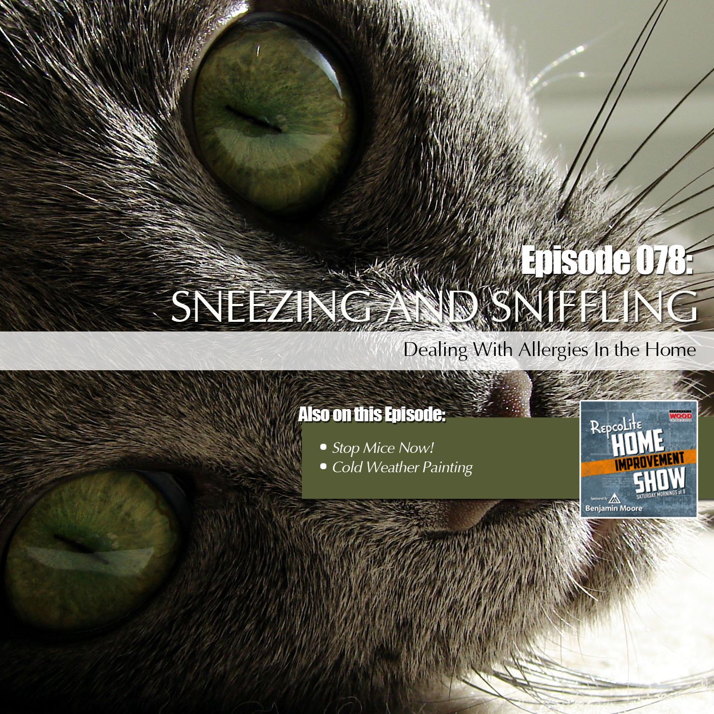 Episode 078: Cold Weather Painting, Allergens in the Home, Keep Mice Out!