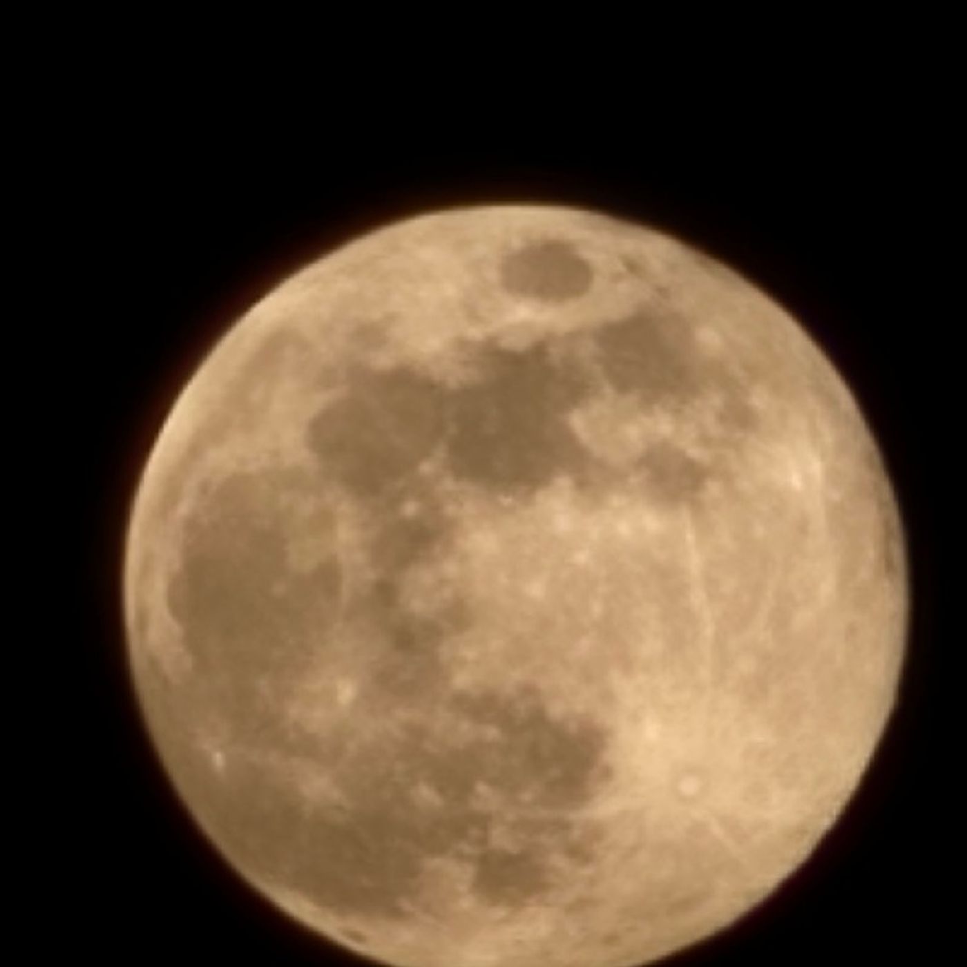 Lunar Touchdown: Live from the Moon's Surface