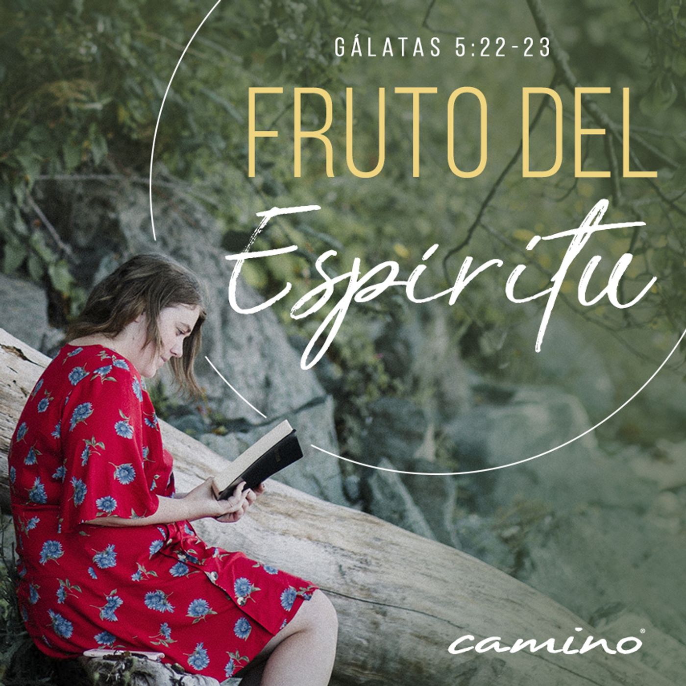 Oración 9 de octubre (Fruto del Espíritu) episode artwork