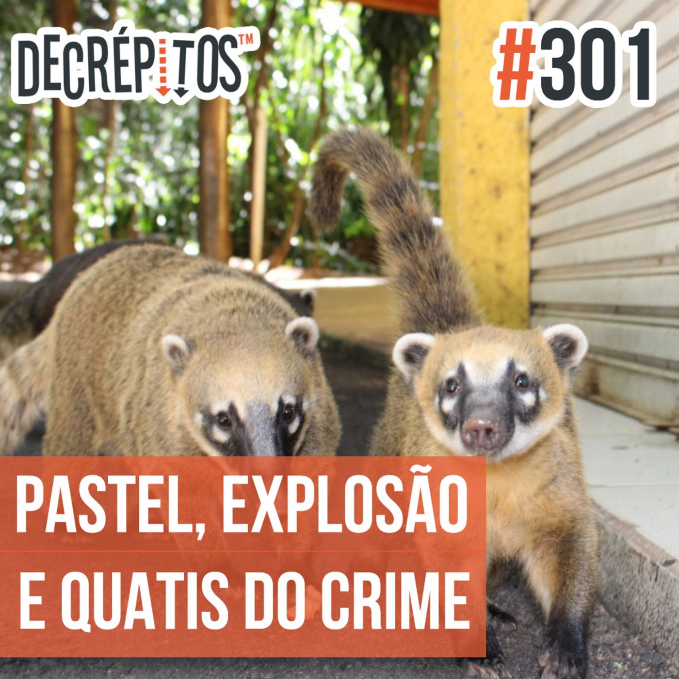 Decrépitos 301 - VACILO NEWS: Pastel da Morte, Explosão de Revelação e Quatis do Crime