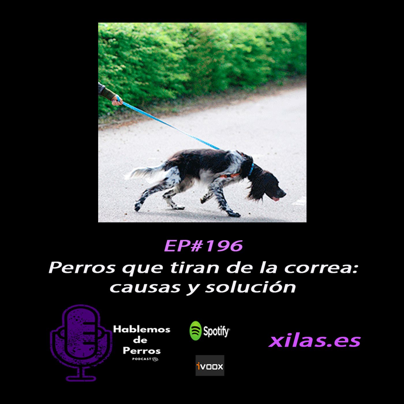 Hablemos de perros